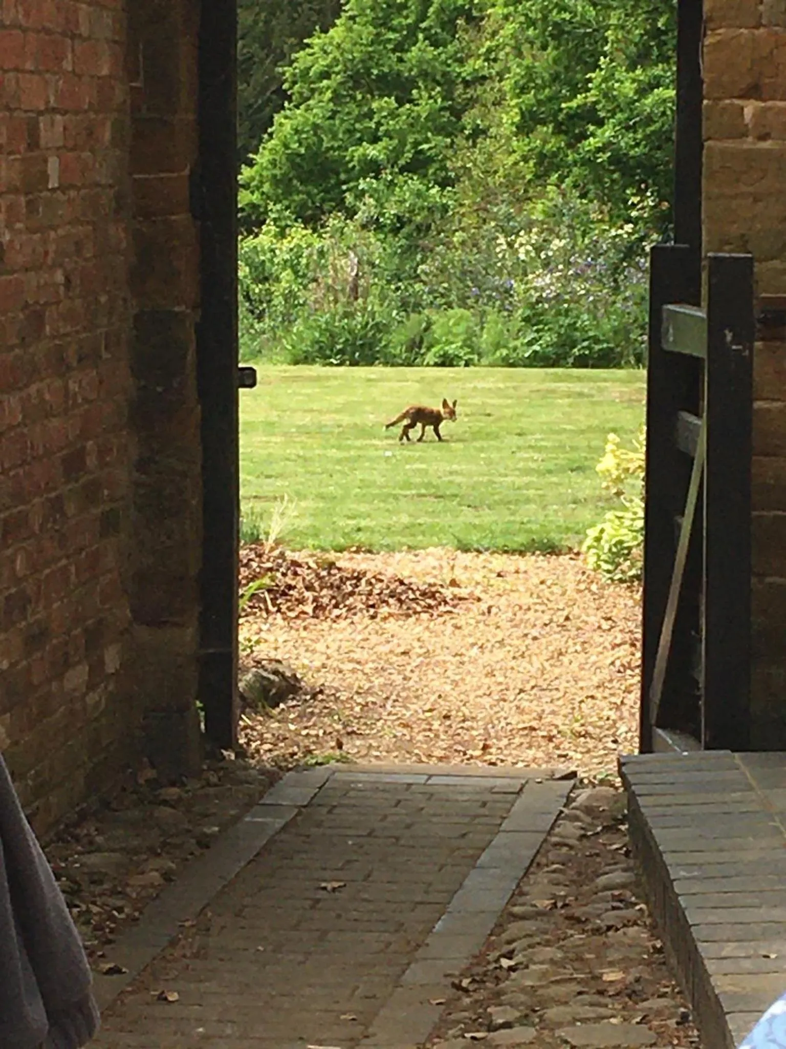 Garden in The Old Vicarage