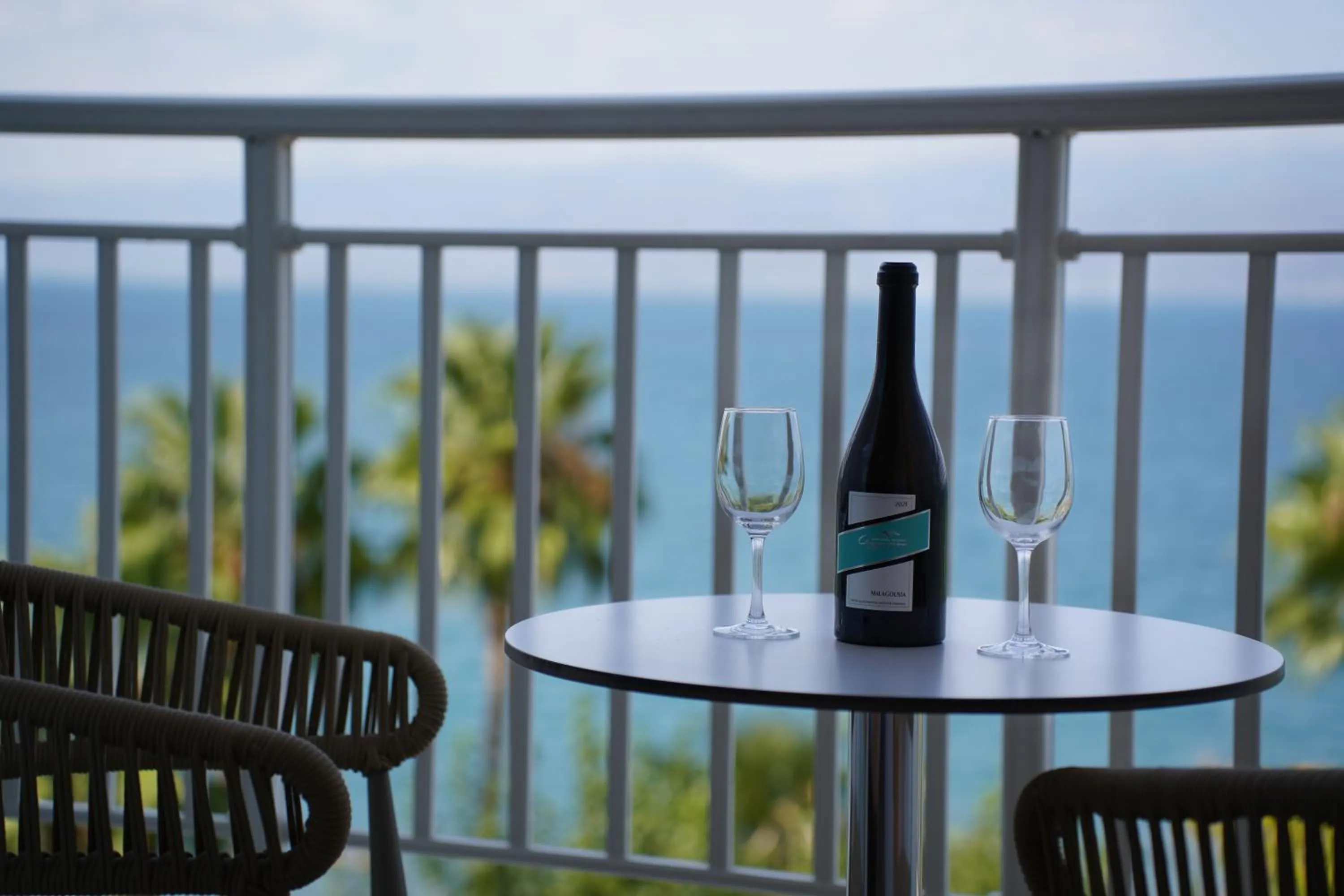 Balcony/Terrace in HOTEL SISSY