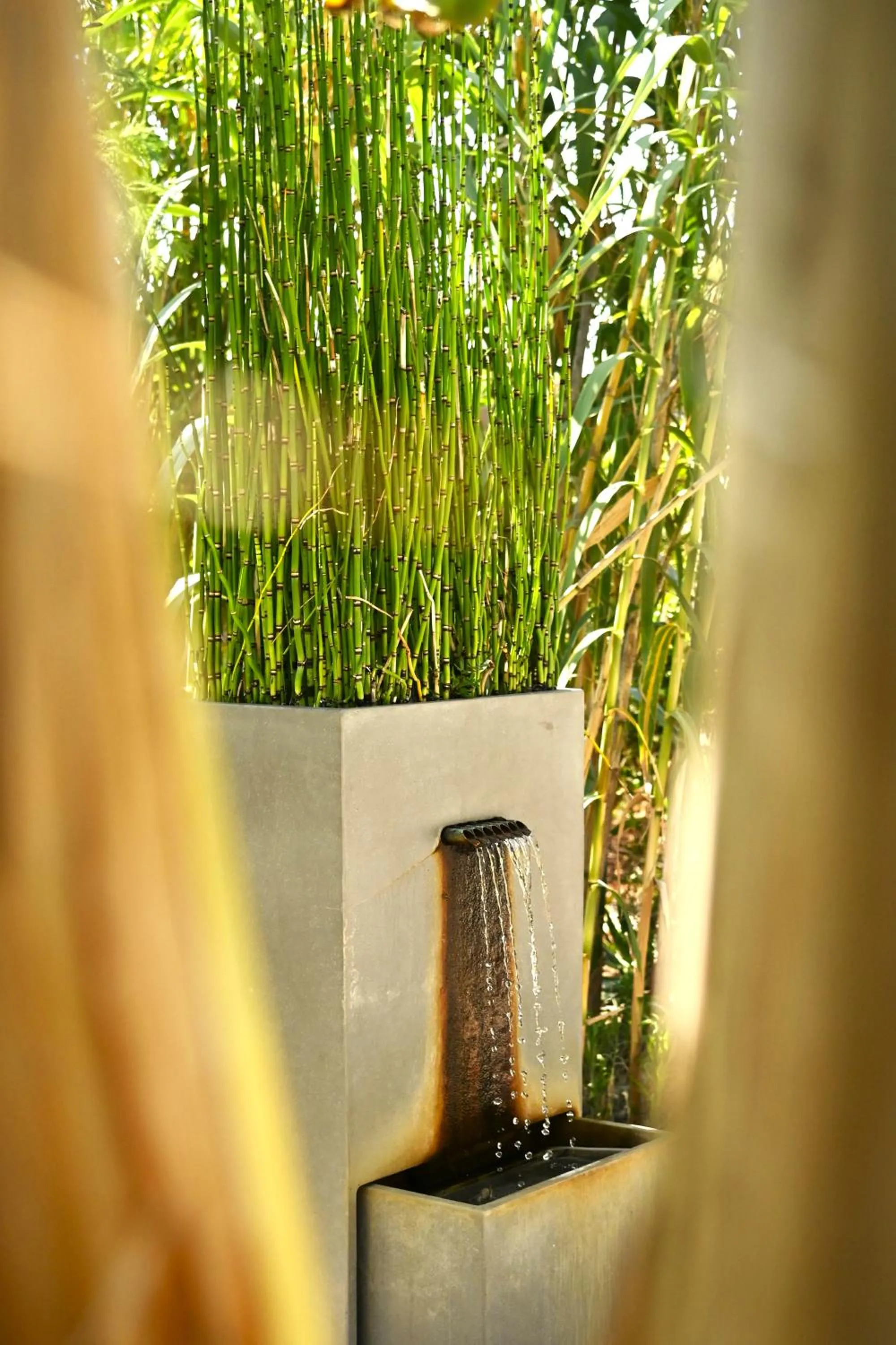 Garden in Les Jardins de Bormes, hôtel adult only avec sauna & jacuzzi