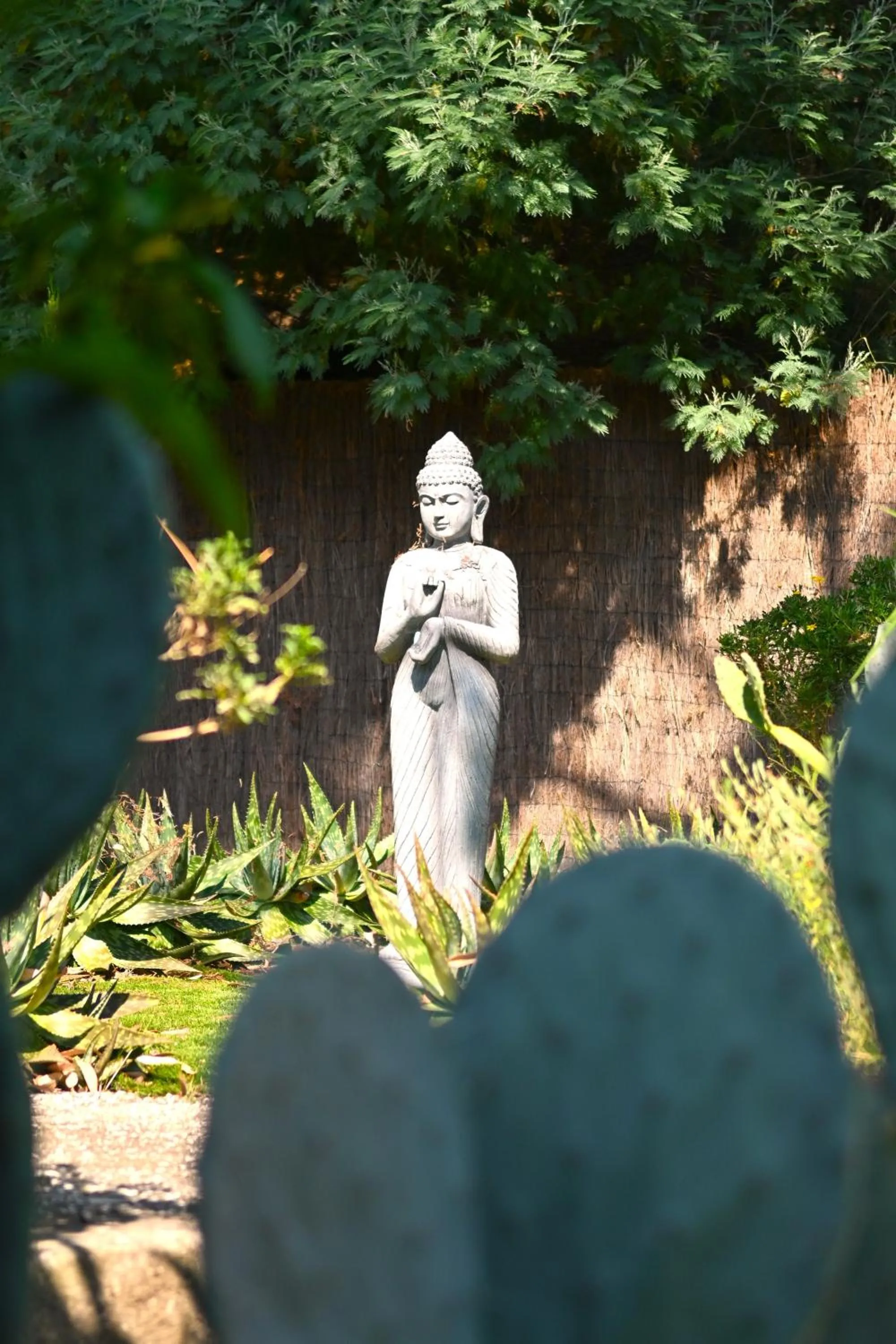 Area and facilities in Les Jardins de Bormes, hôtel adult only avec sauna & jacuzzi