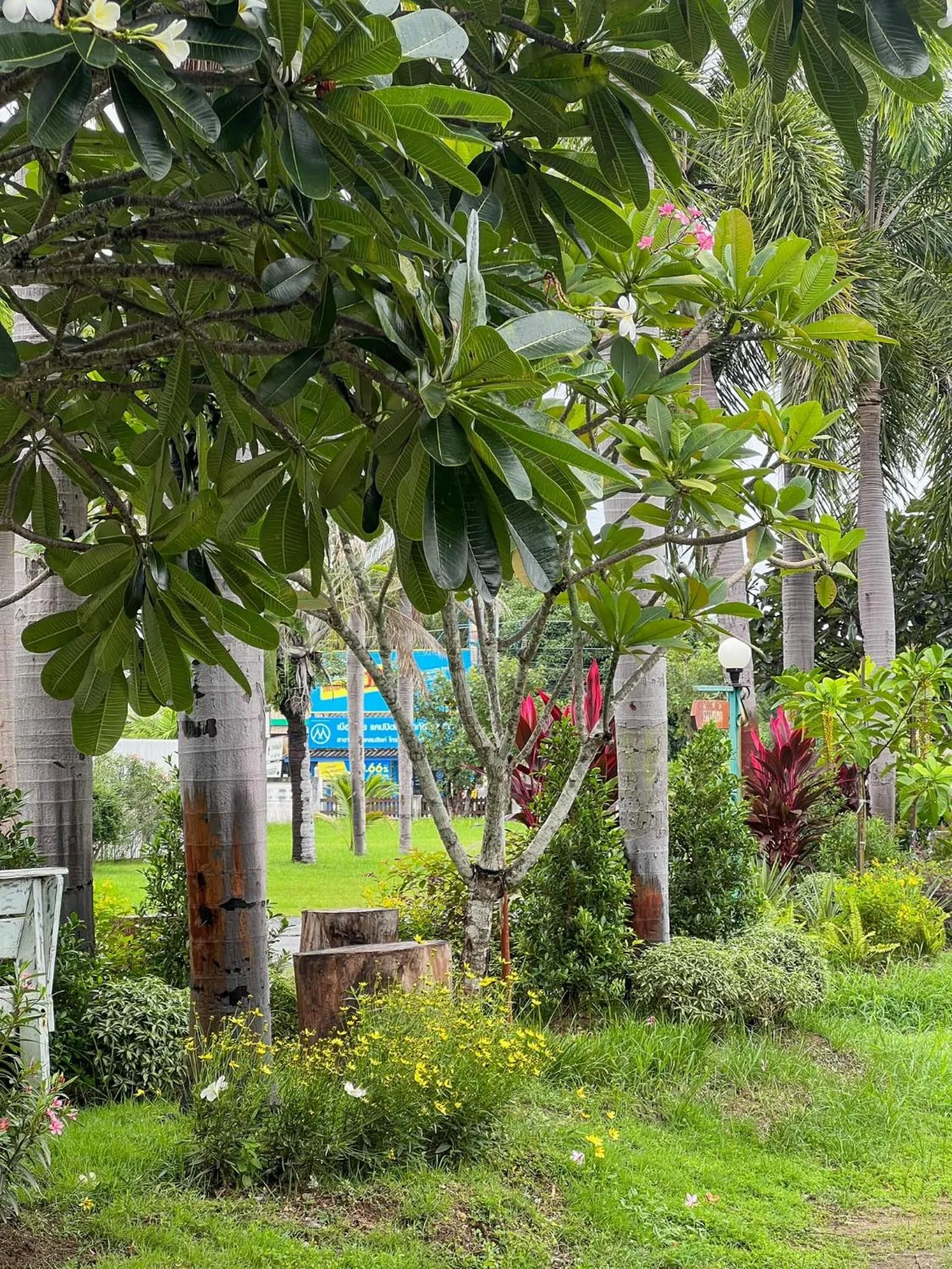 Nisasiri Boutique Resort