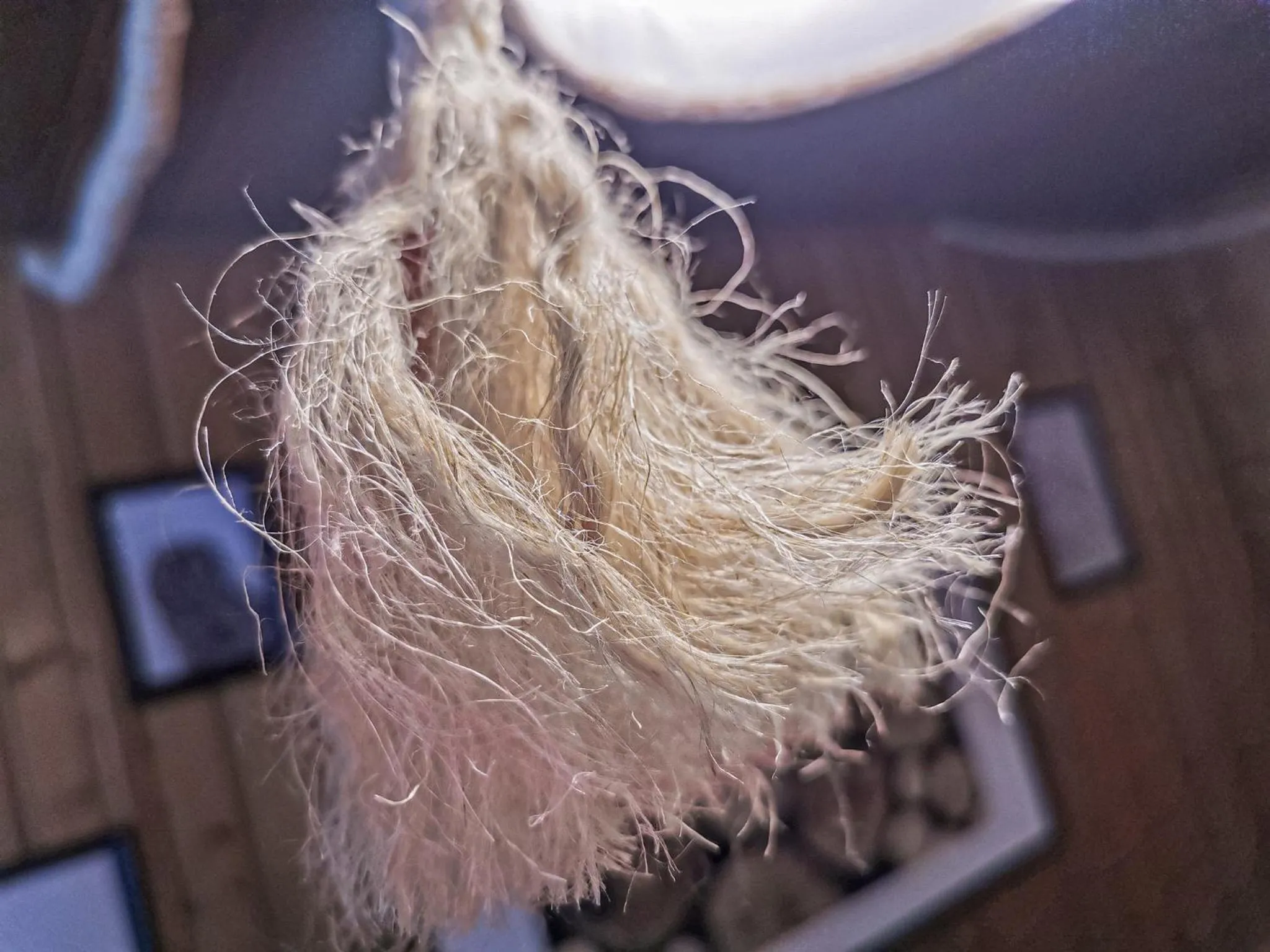 Decorative detail in Relais des Mélèzes