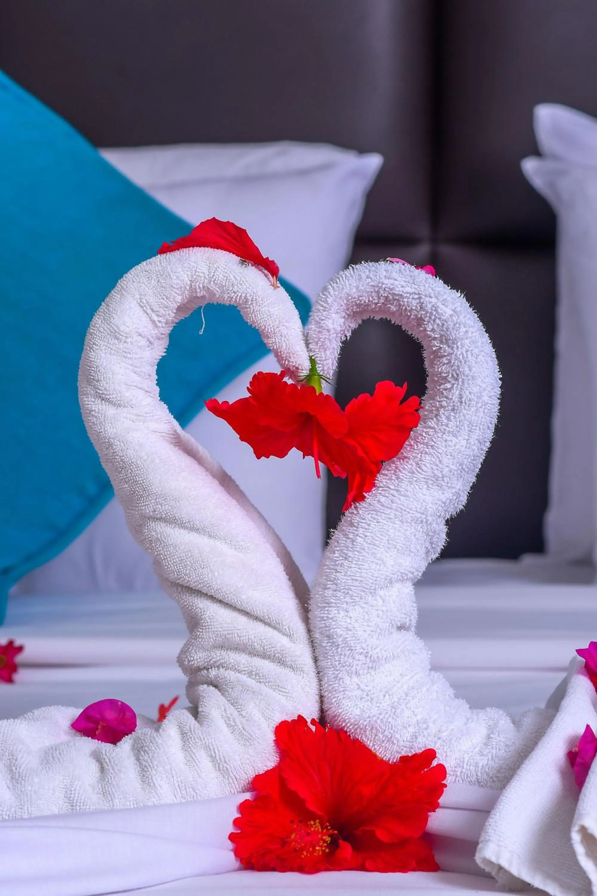 towels, Bed in Cocoa Luxury Resort, Nyali, Mombasa