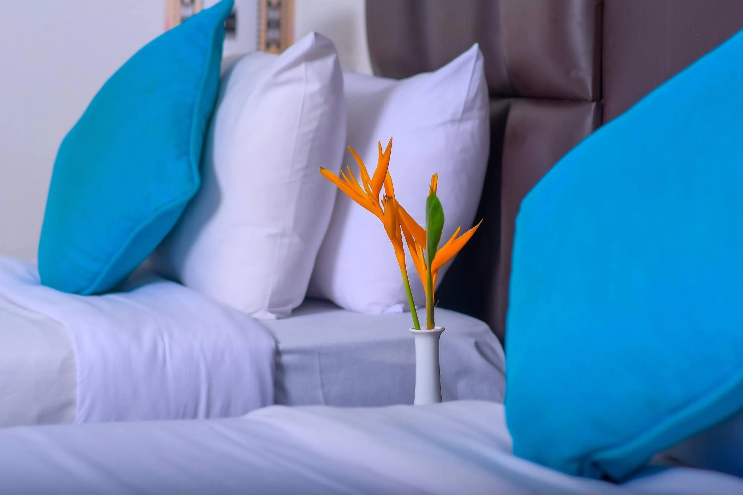 Bed in Cocoa Luxury Resort, Nyali, Mombasa