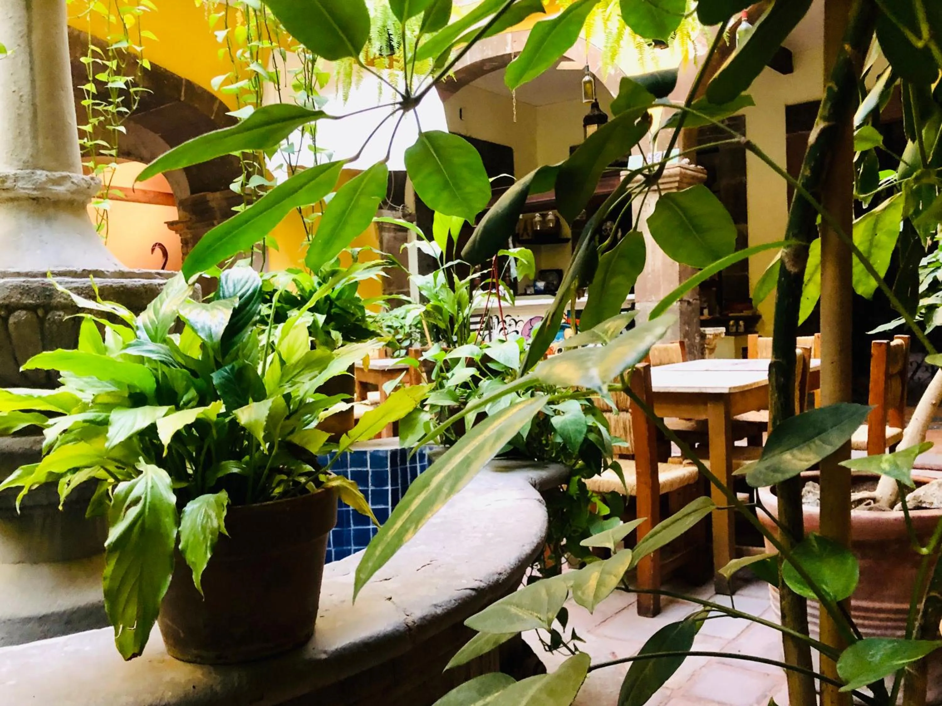 Decorative detail in Hotel Mansión Virreyes by Rotamundos