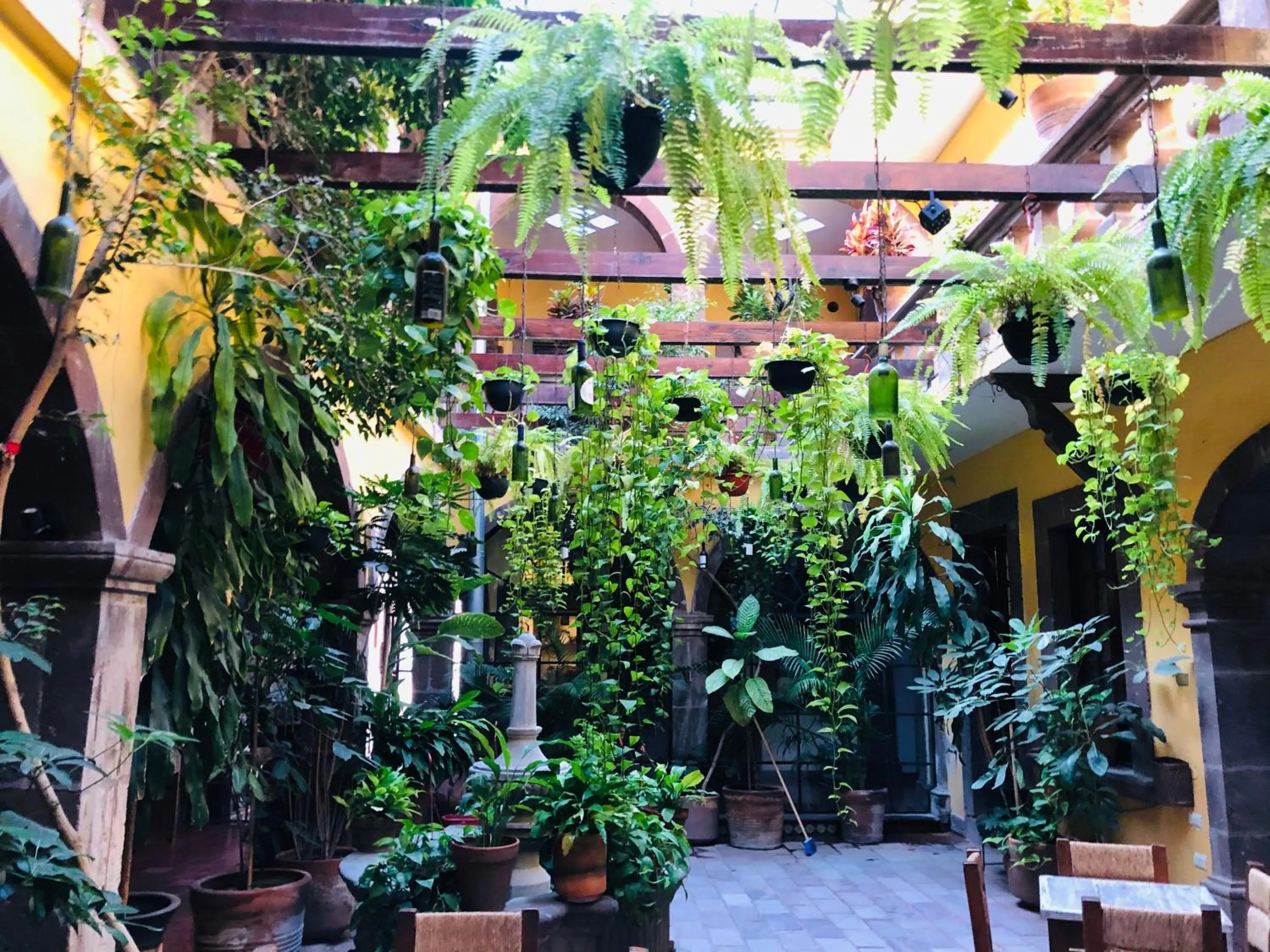 Patio in Hotel Mansión Virreyes by Rotamundos