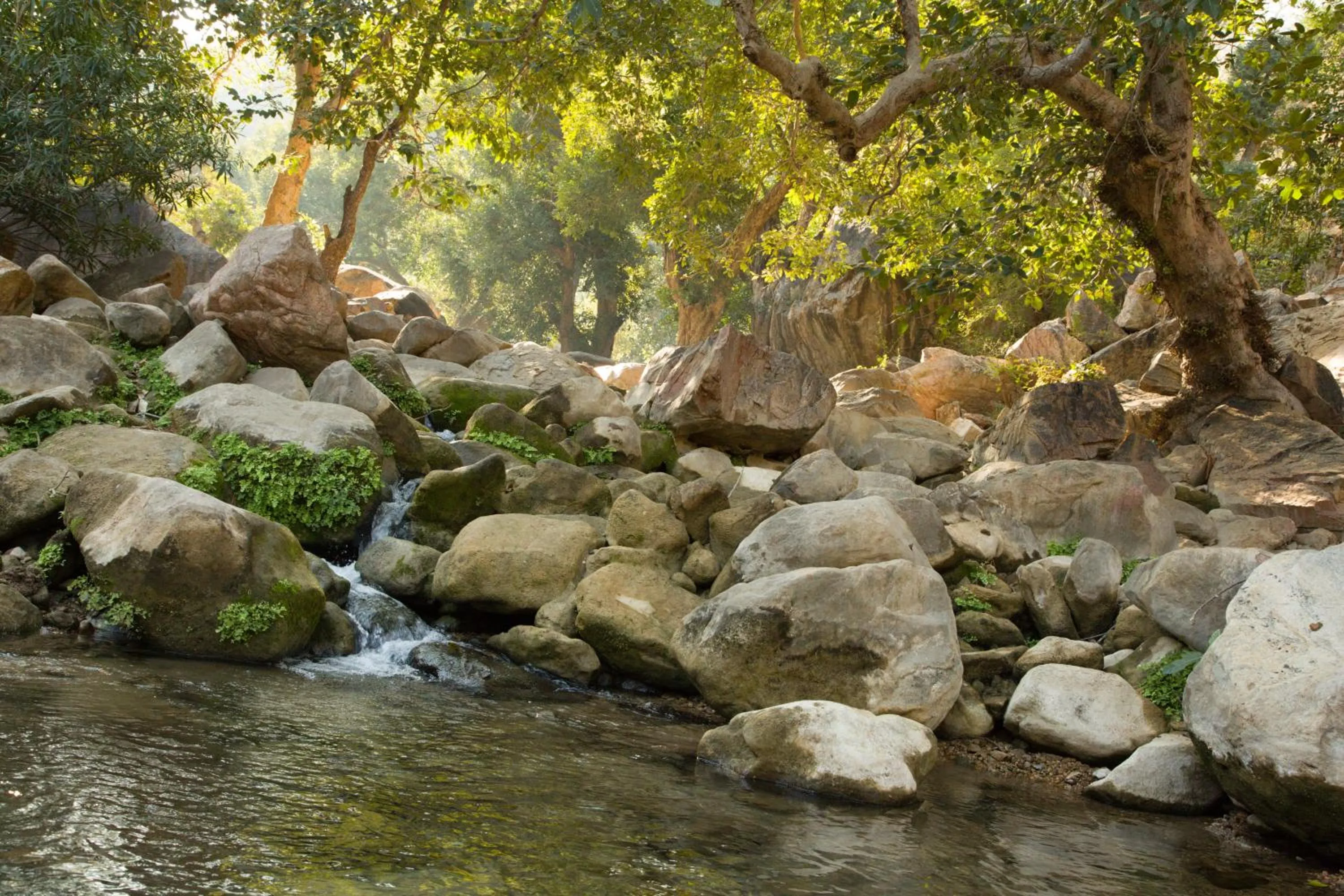 Natural landscape in Bijapur Lodge Jawai