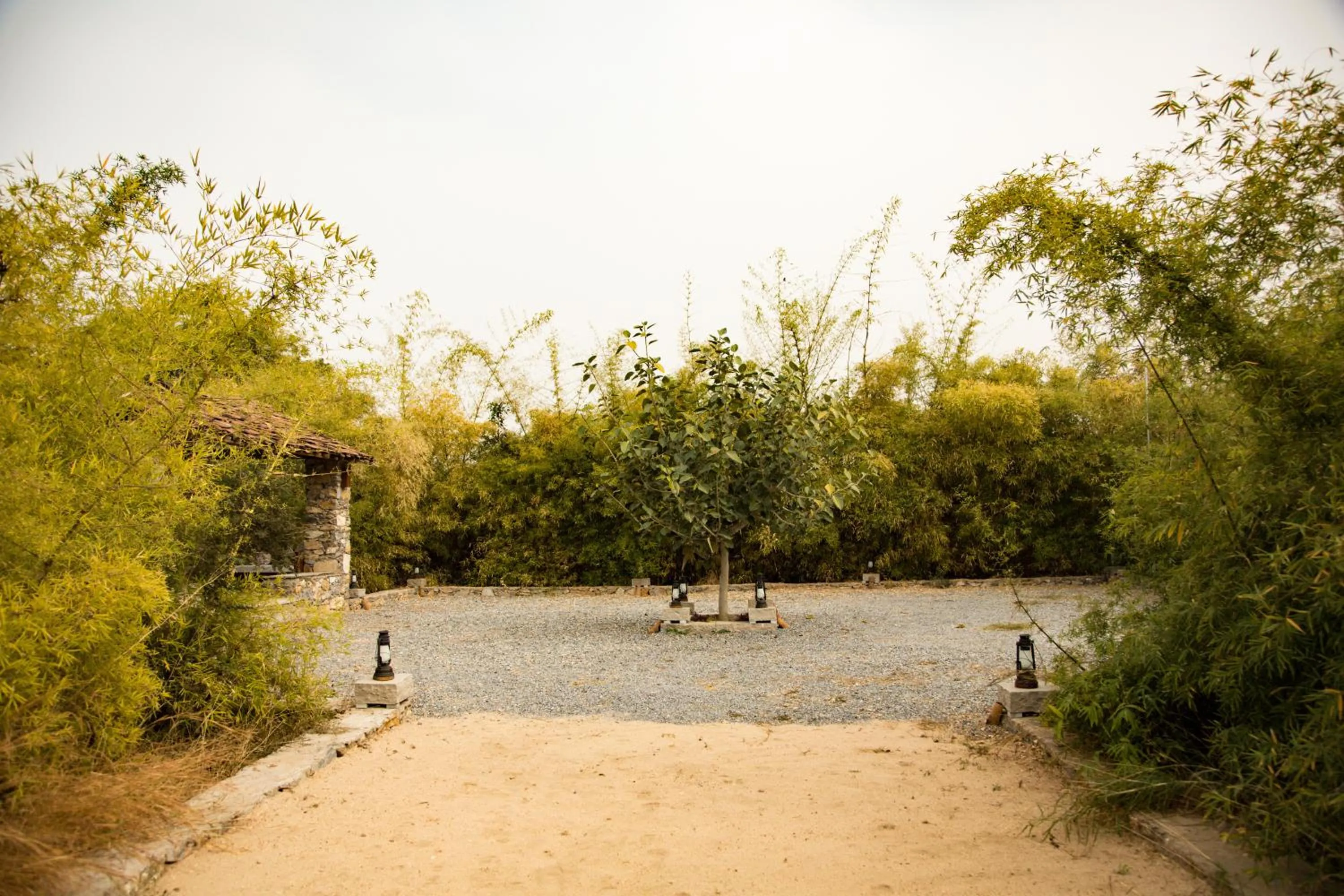 View (from property/room) in Bijapur Lodge Jawai