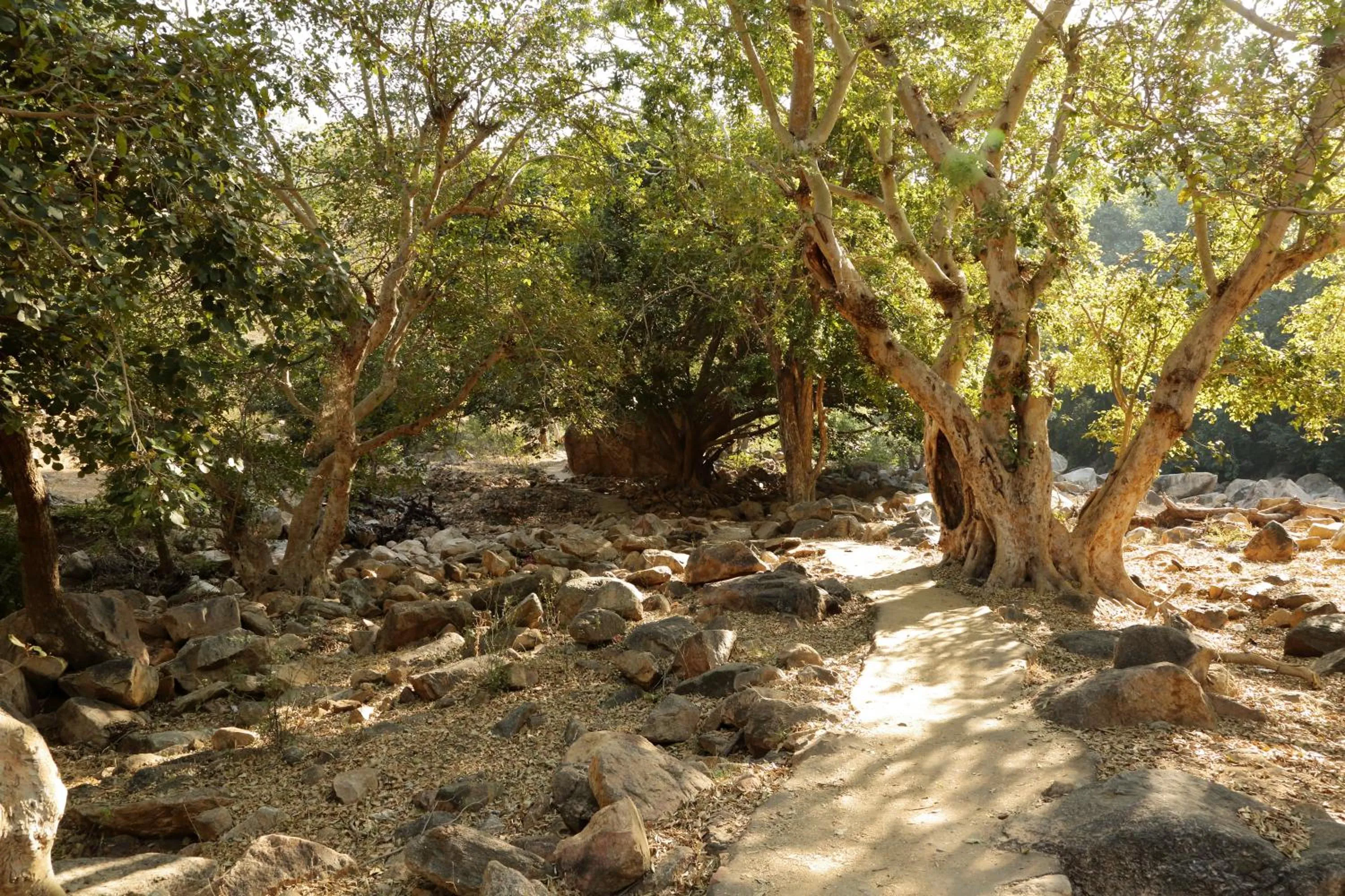 Natural landscape in Bijapur Lodge Jawai