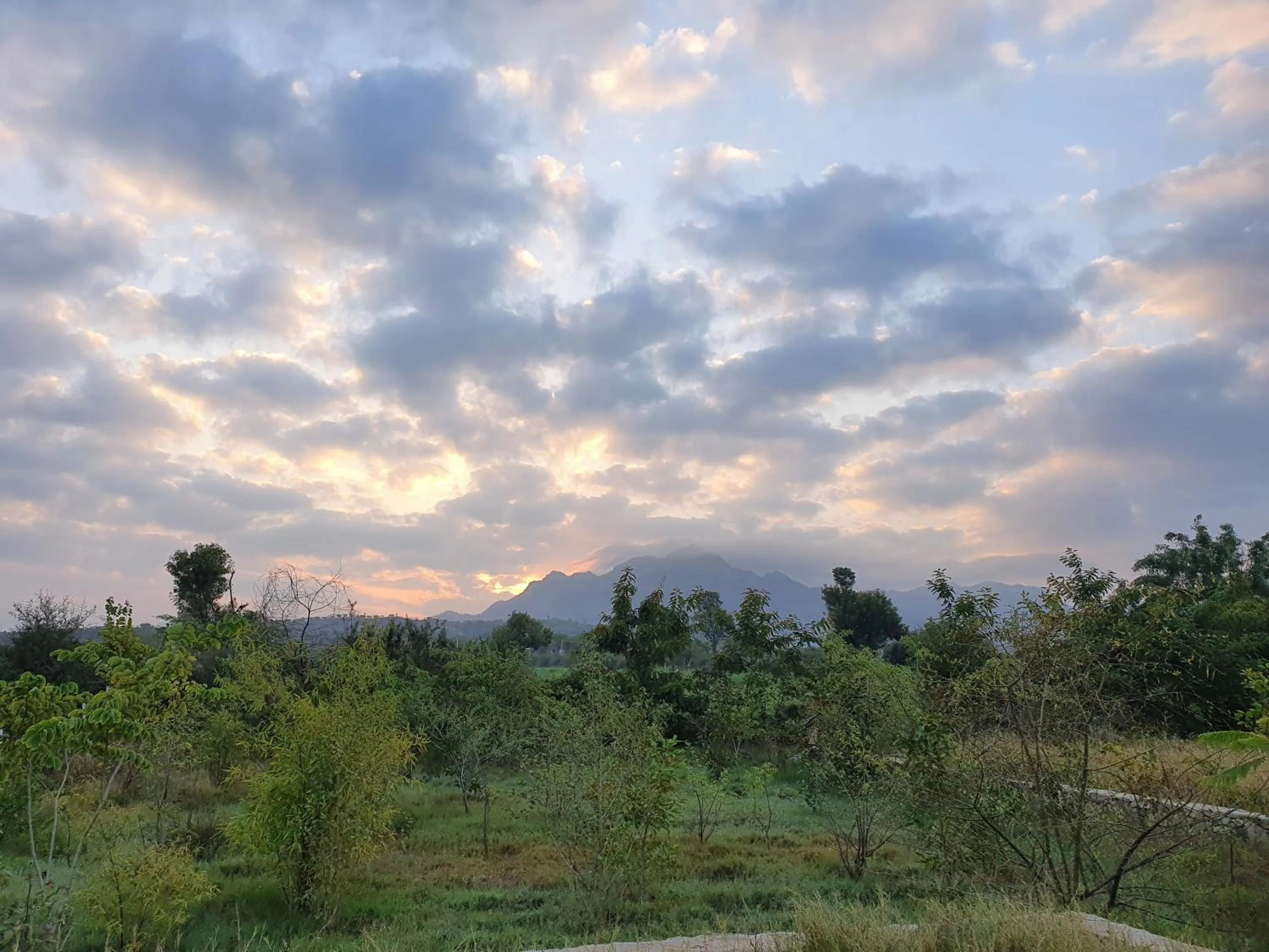 Natural landscape in Bijapur Lodge Jawai