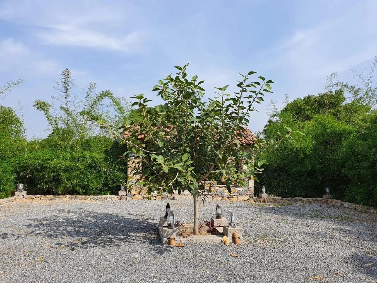 Property building in Bijapur Lodge Jawai