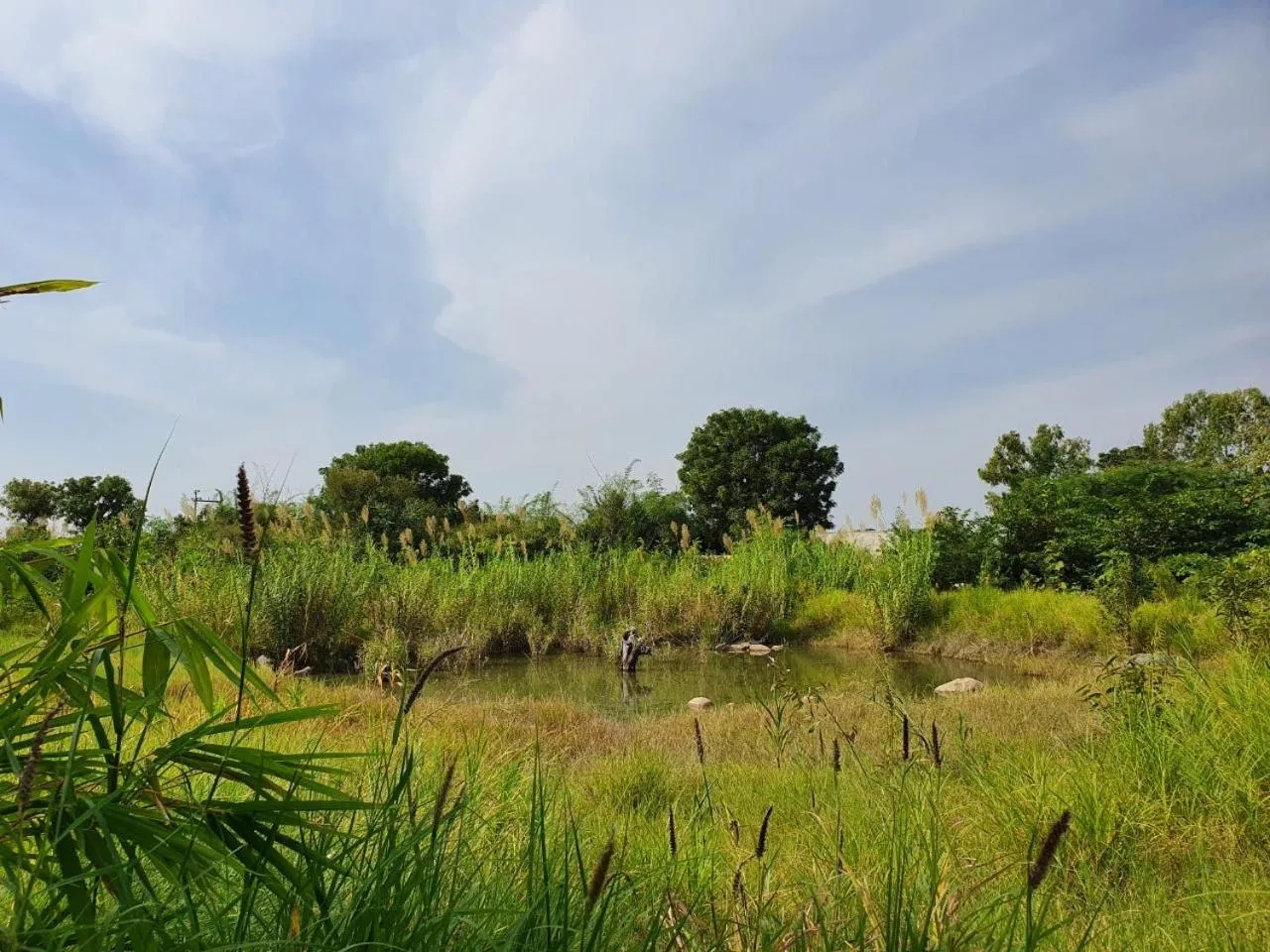 Property building in Bijapur Lodge Jawai