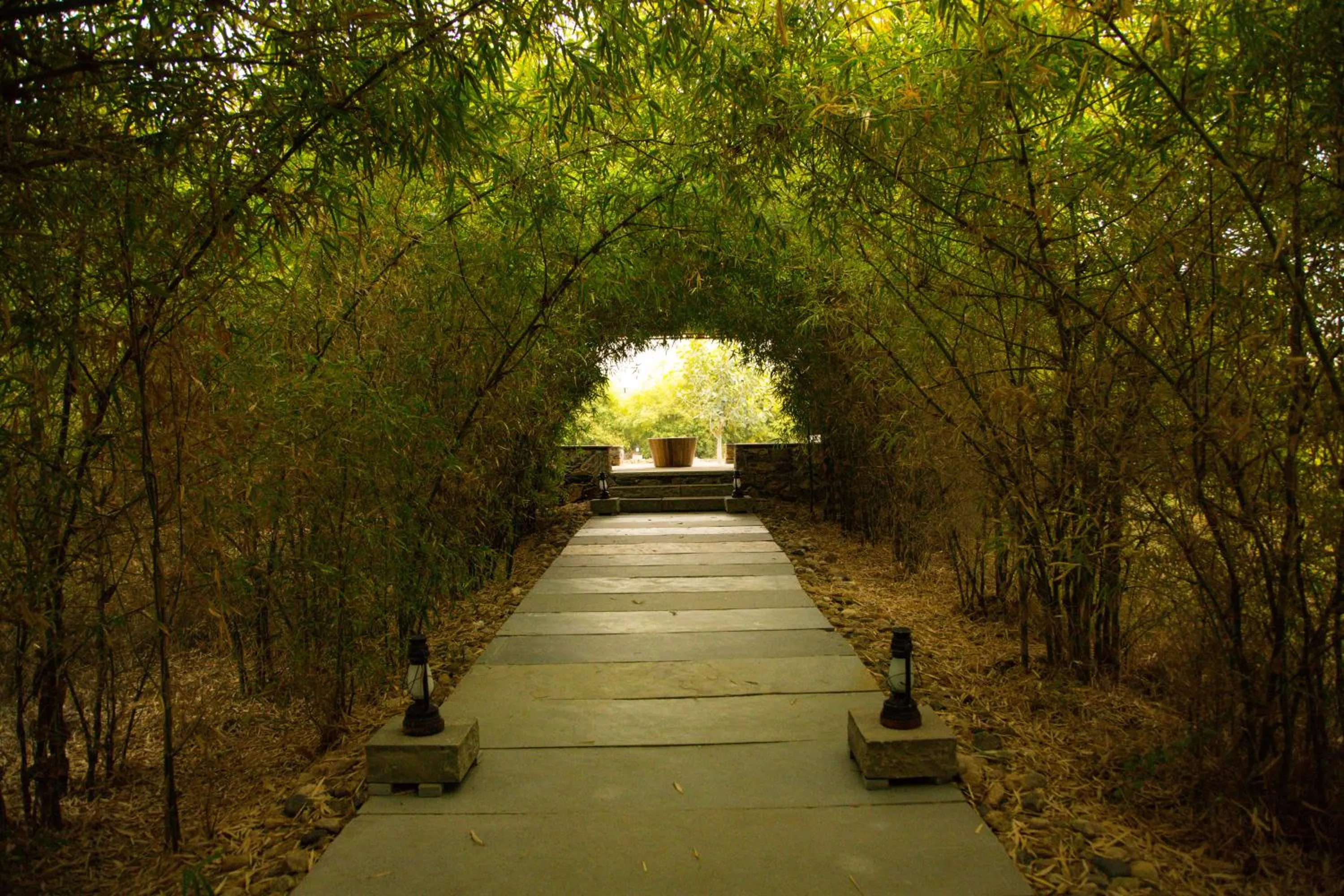 Garden in Bijapur Lodge Jawai