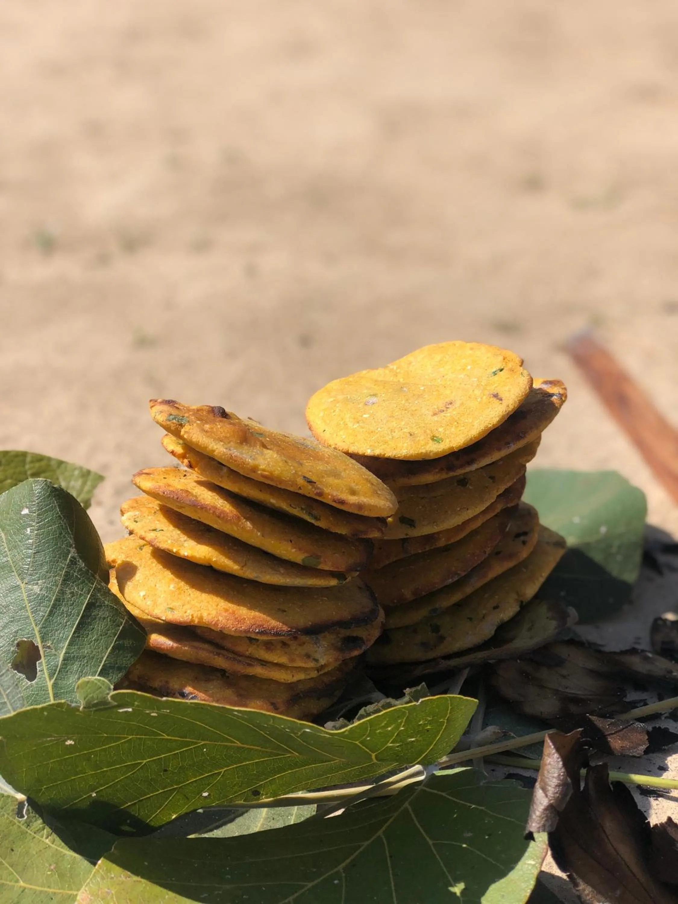 Neighbourhood in Bijapur Lodge Jawai