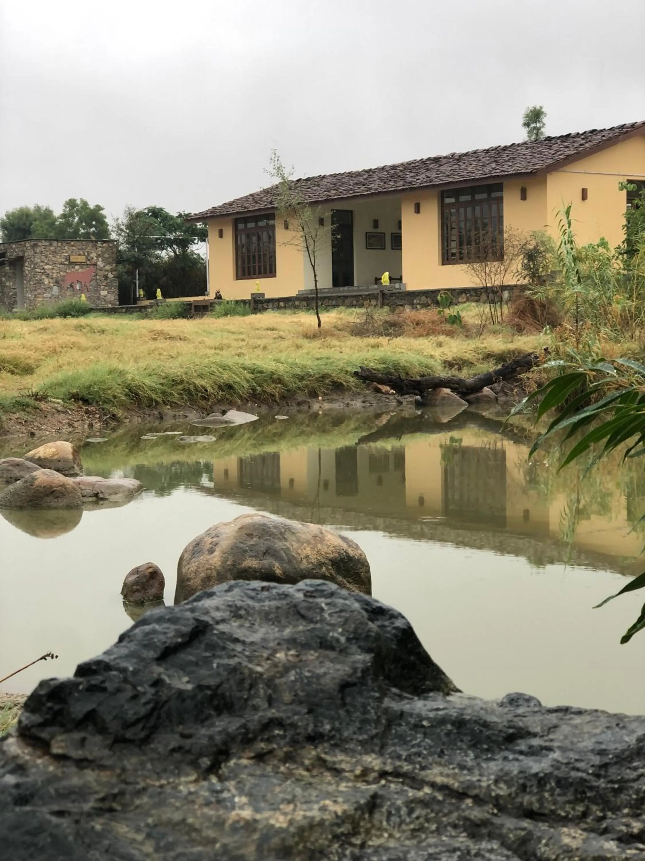 View (from property/room) in Bijapur Lodge Jawai