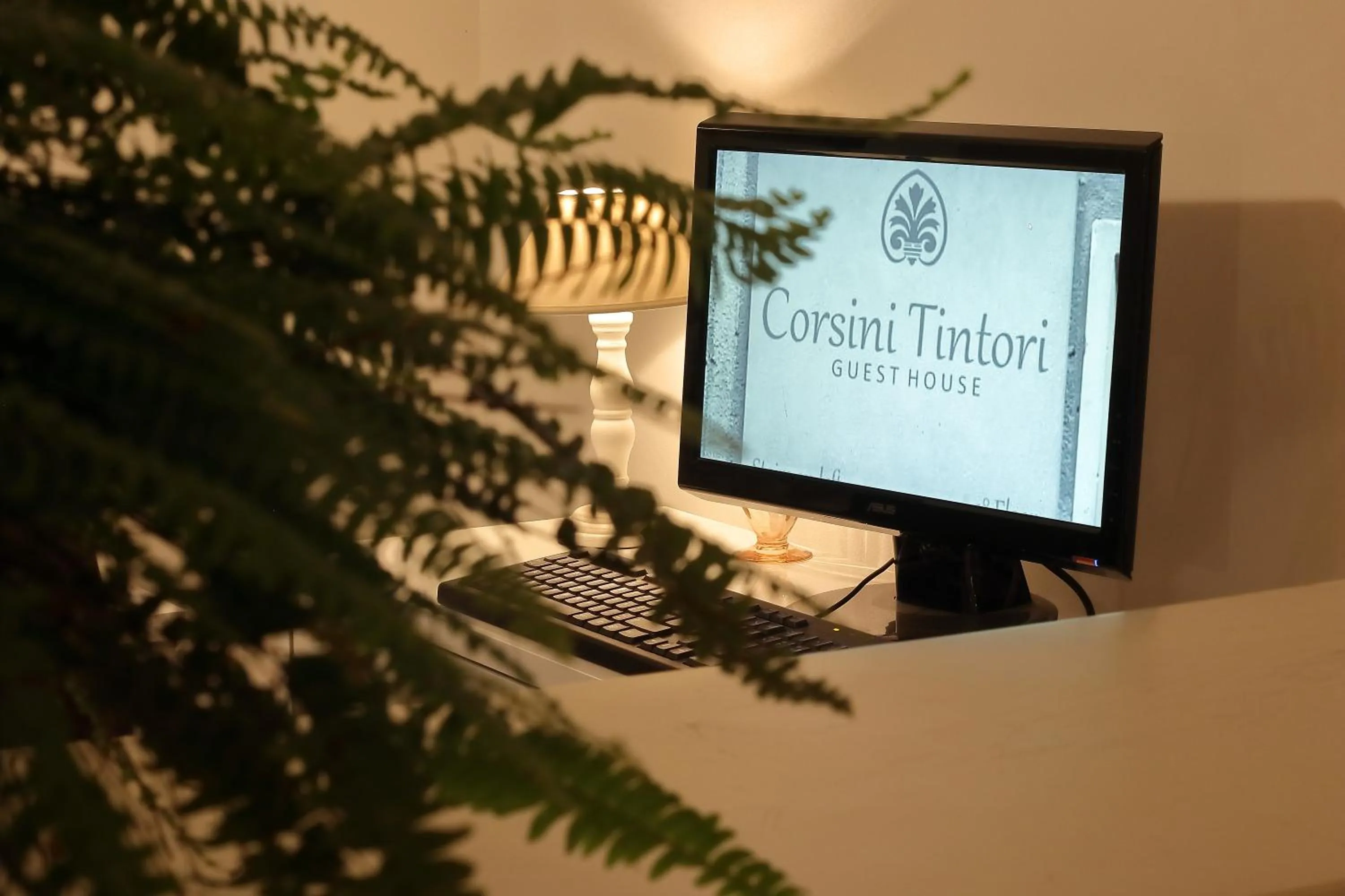 TV and multimedia in Corsini Tintori
