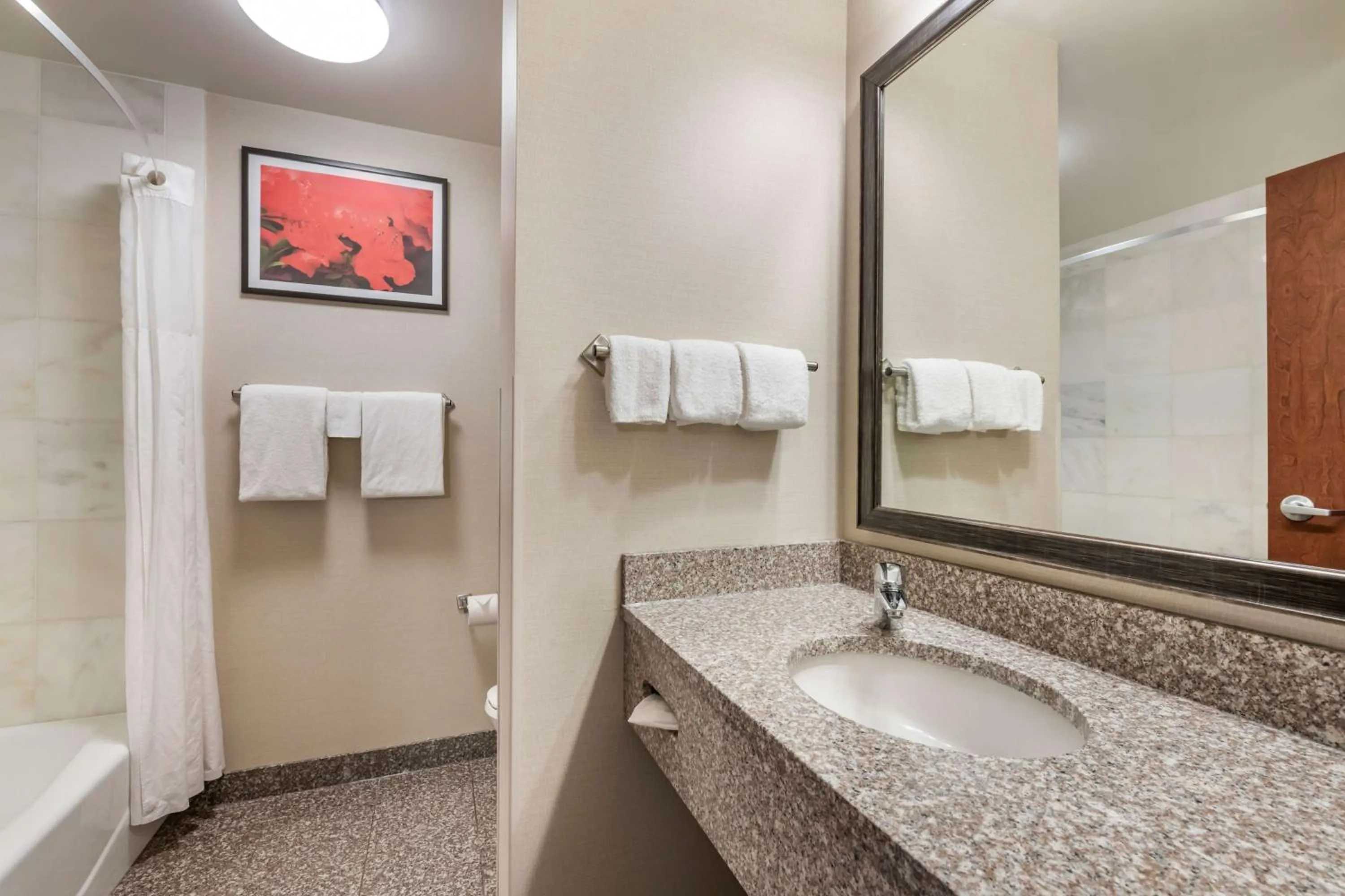 Bathroom in Drury Plaza Hotel Valdosta