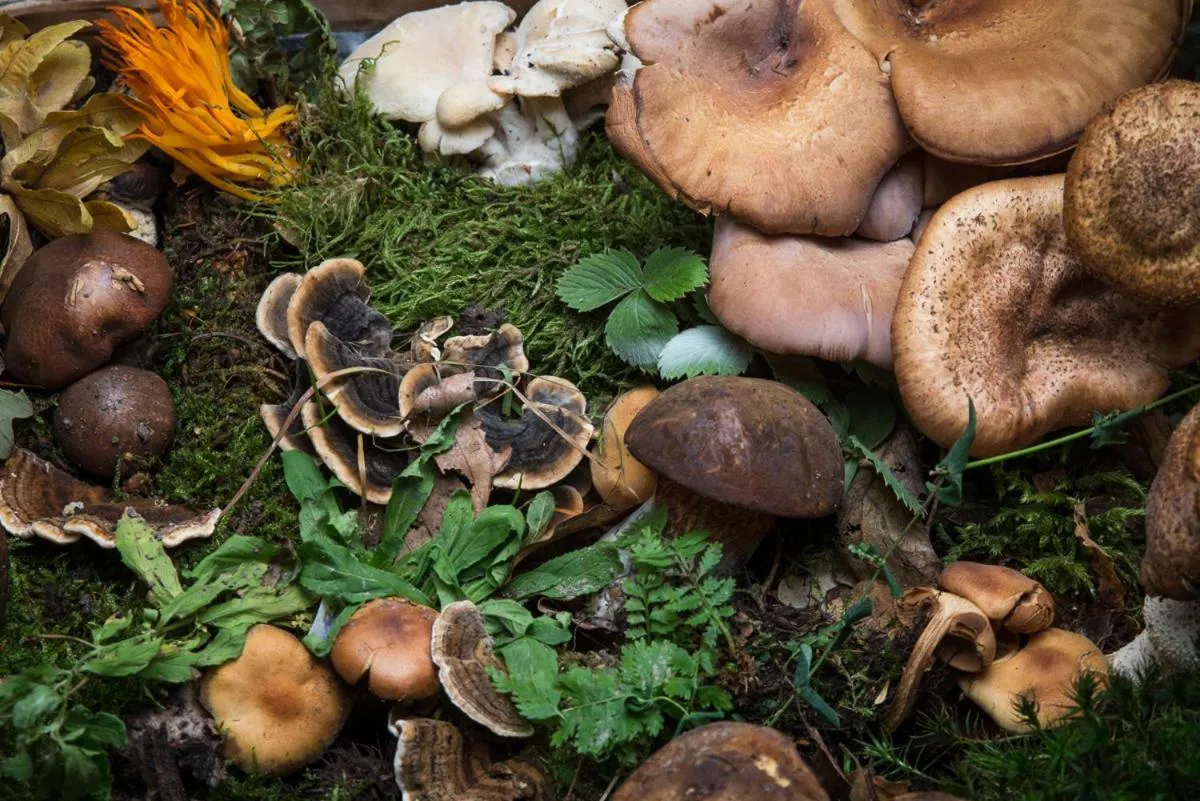 Other in Gasthaus Hofmann