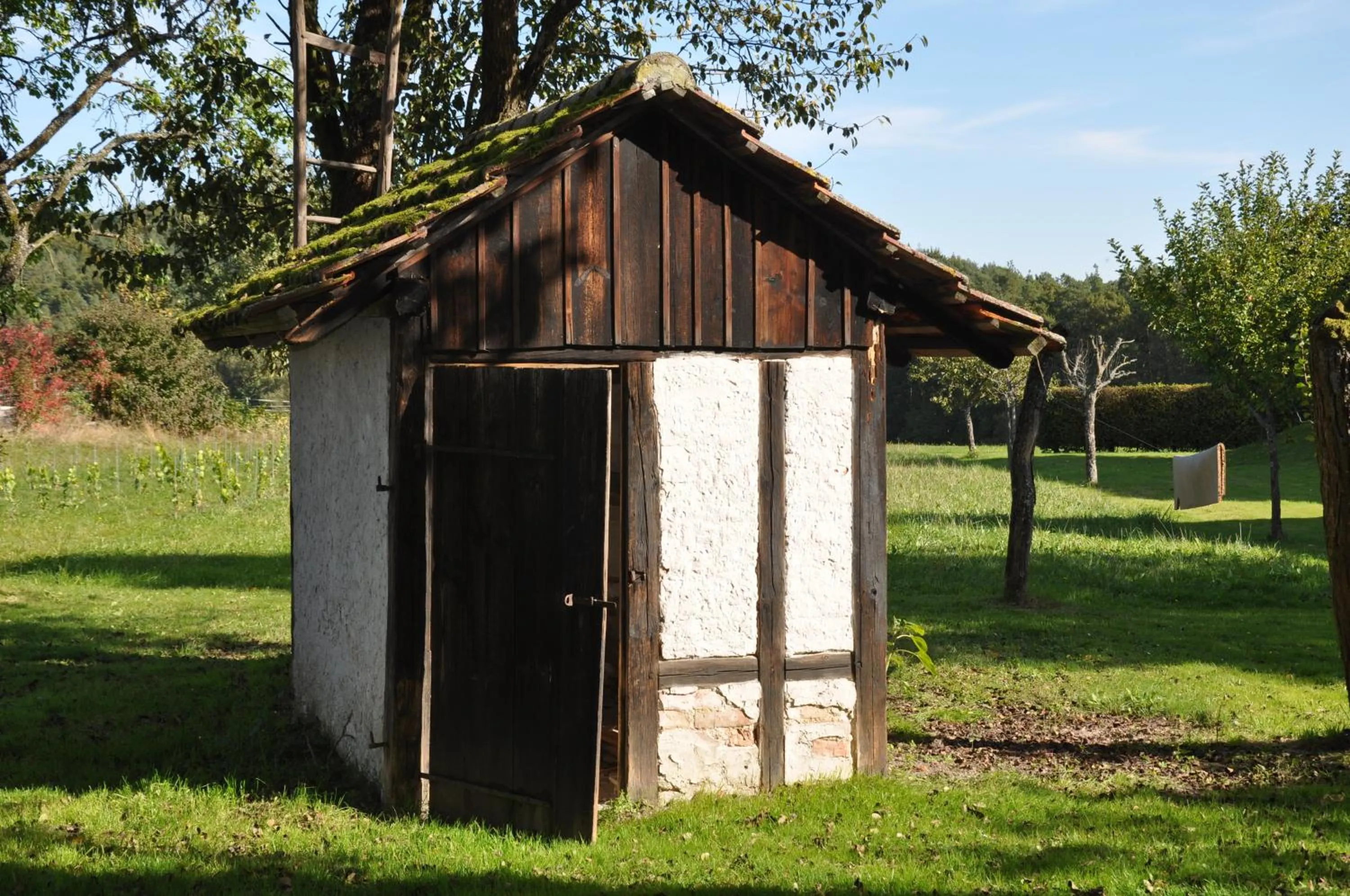 Spa and wellness centre/facilities in Gasthaus Hofmann