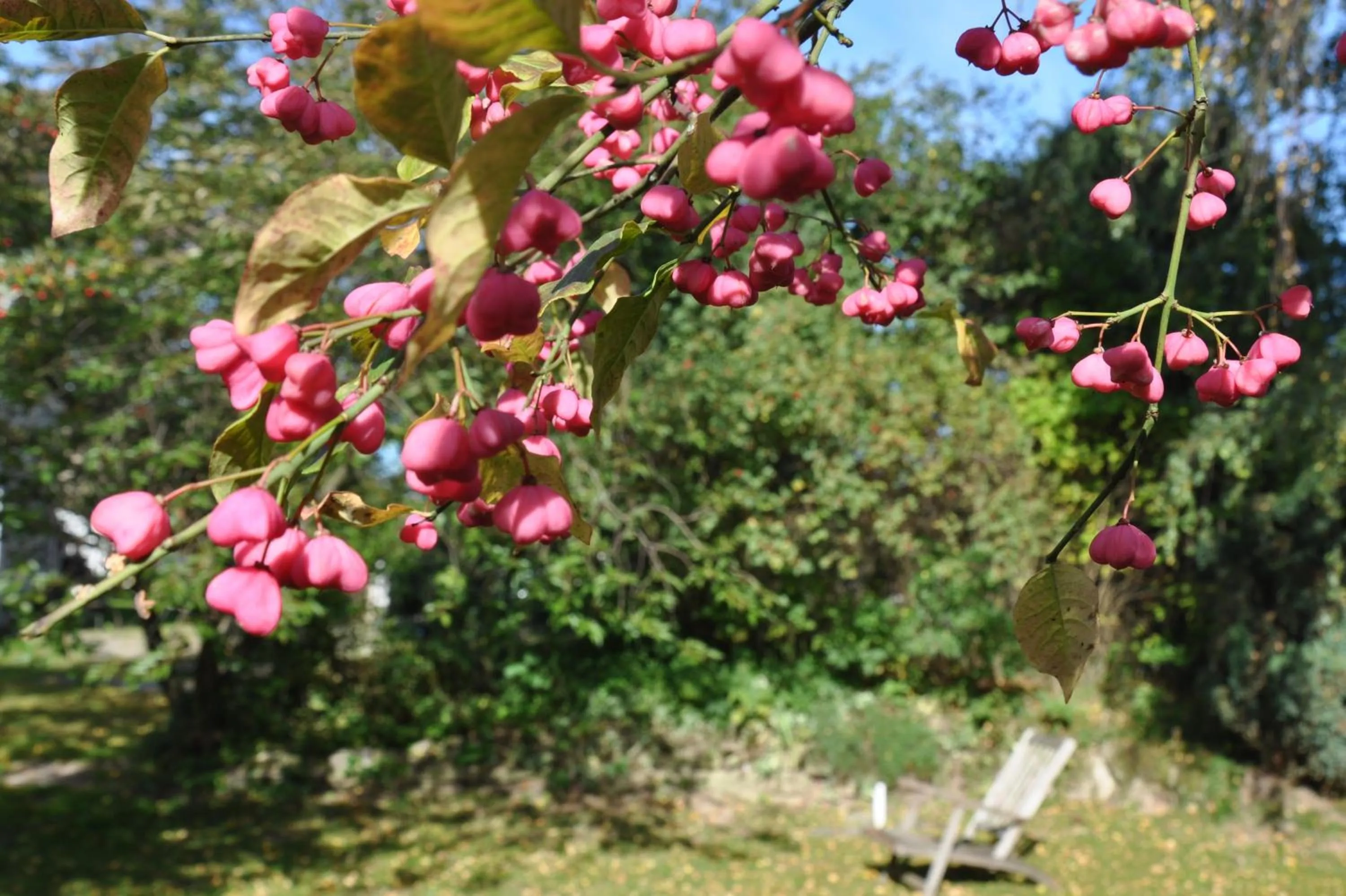 Spring in Gasthaus Hofmann
