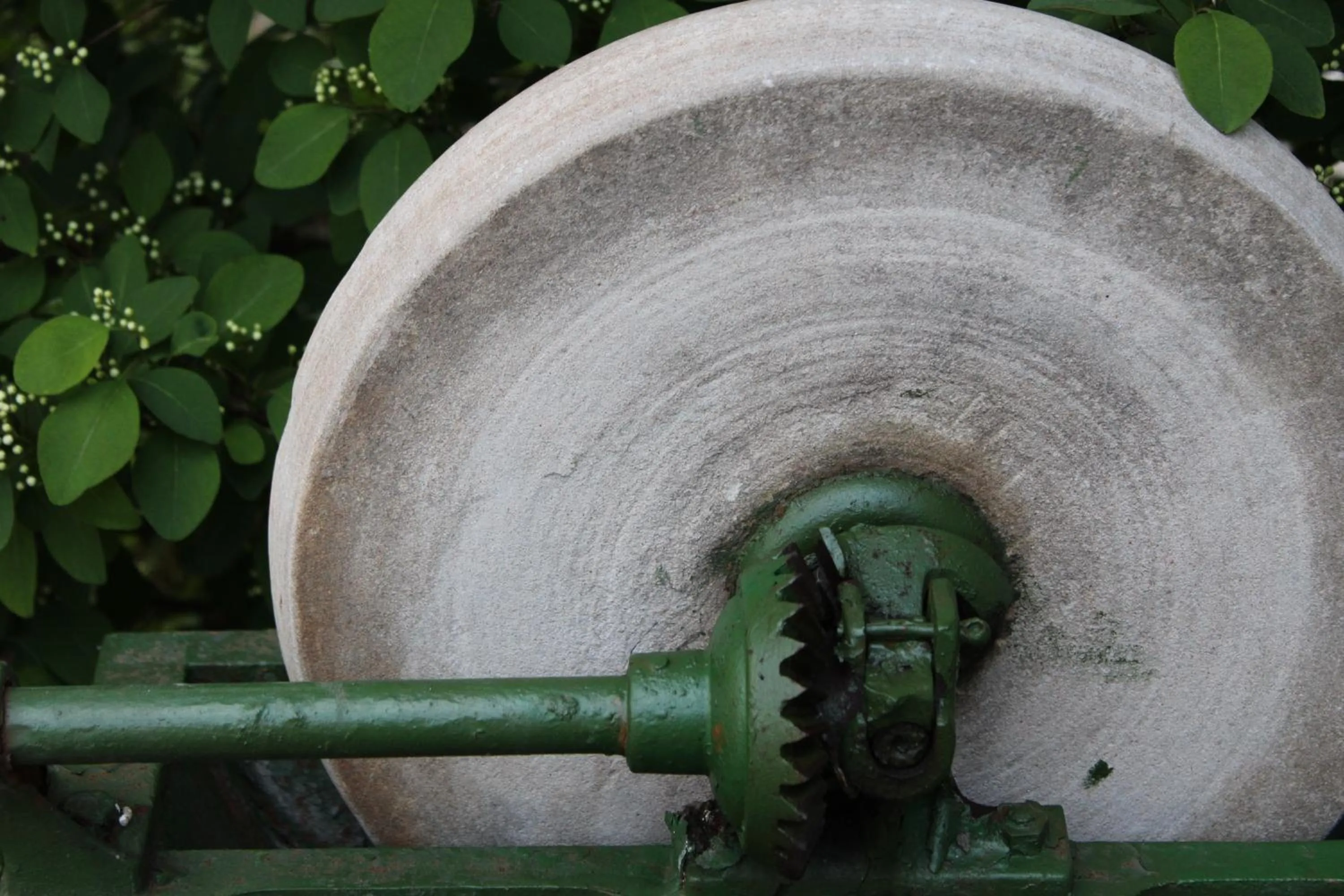 Day in Gasthaus Hofmann