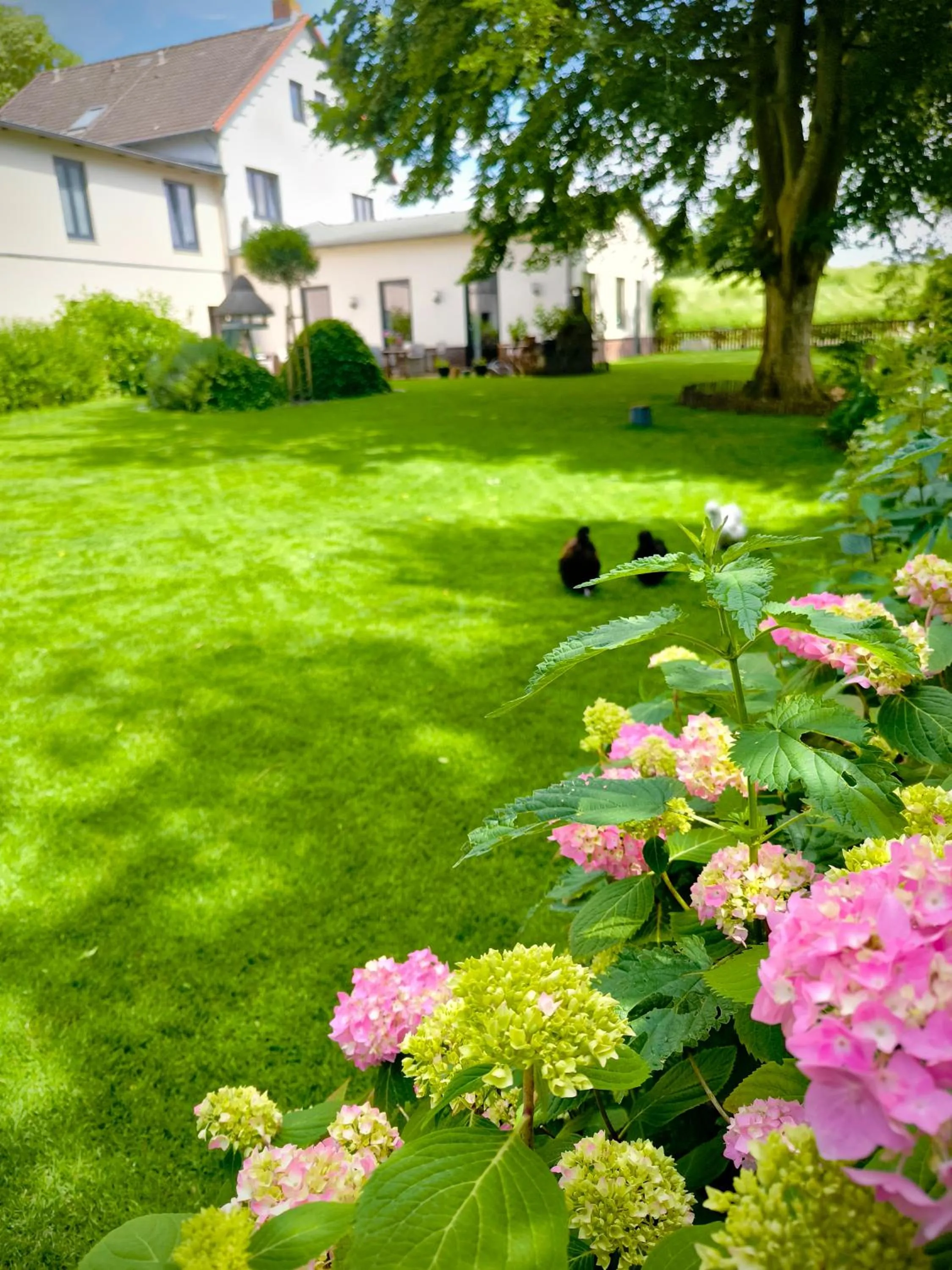 Golf- & Landhotel am alten Deich