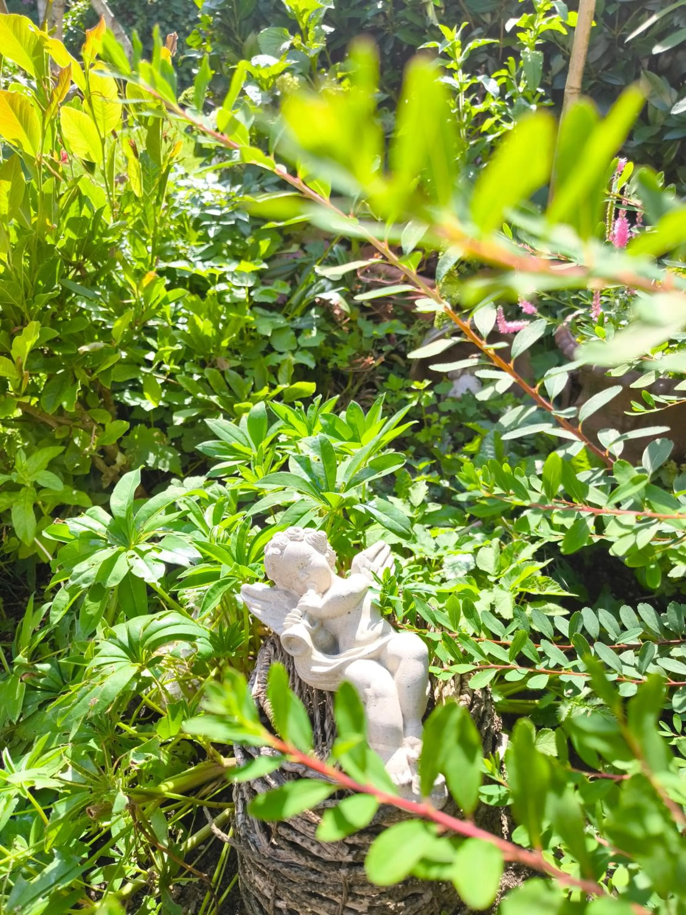 Natural landscape in Golf- & Landhotel am alten Deich