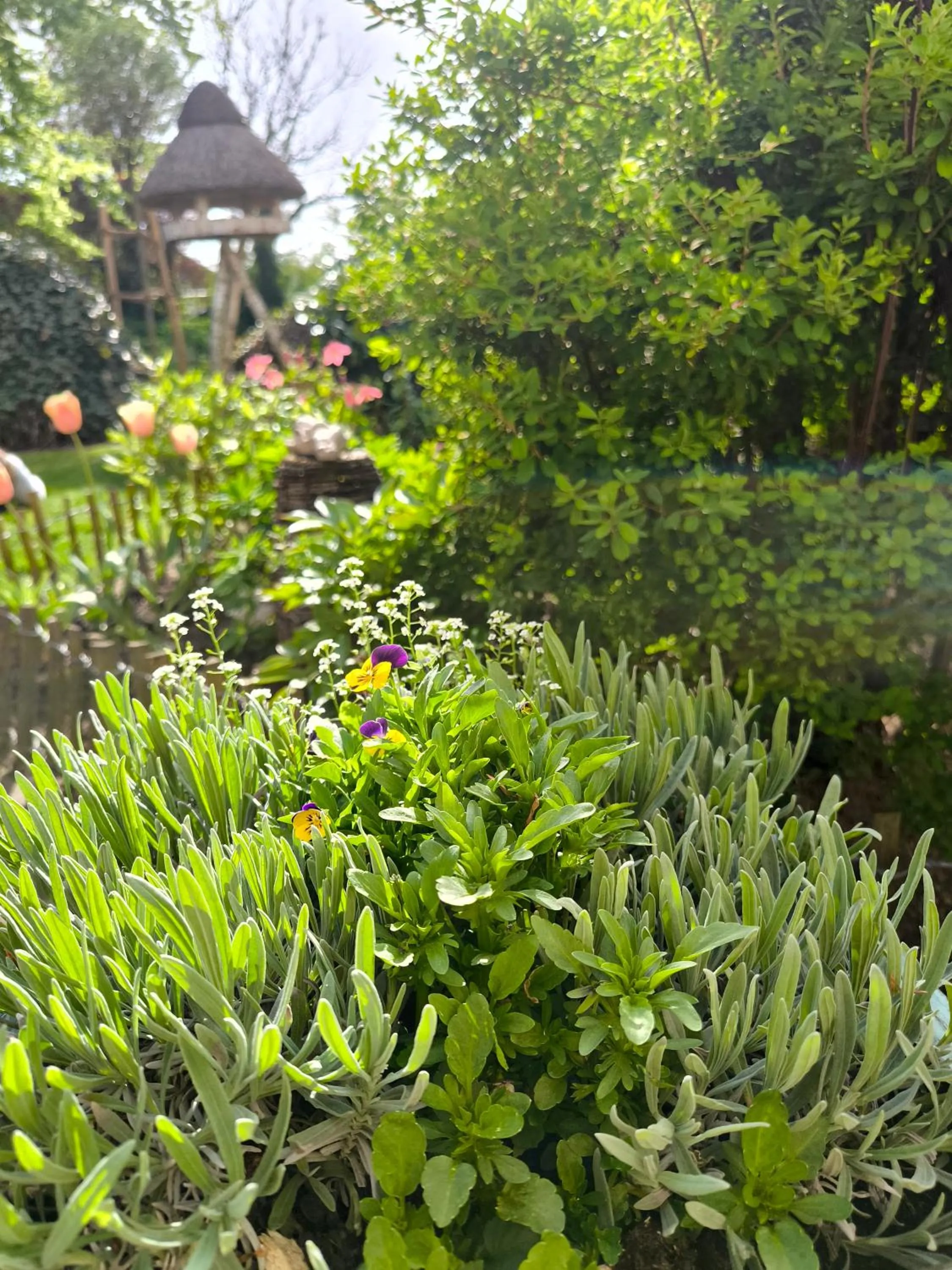 Golf- & Landhotel am alten Deich