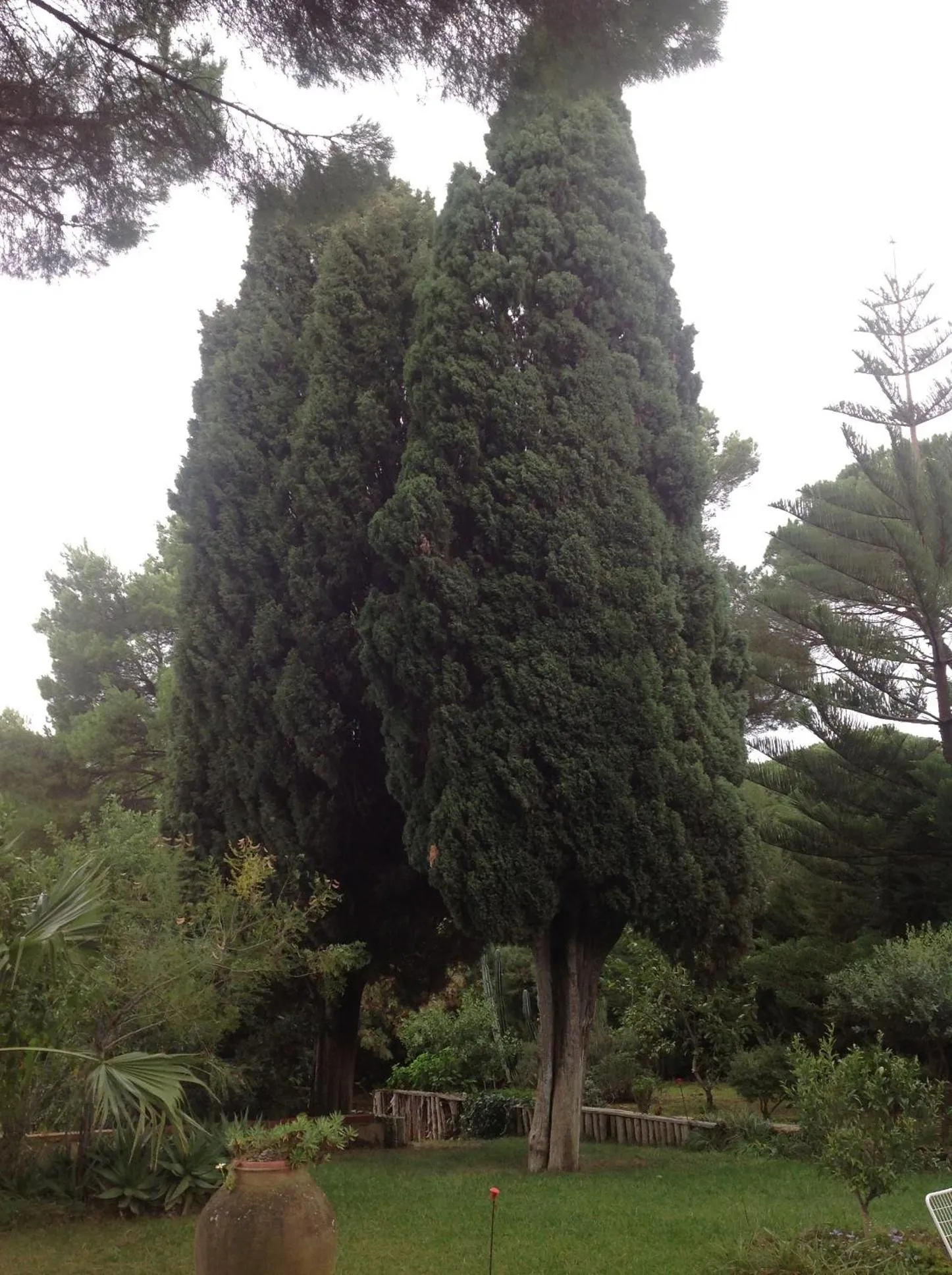 Decorative detail in Ai Cipressi