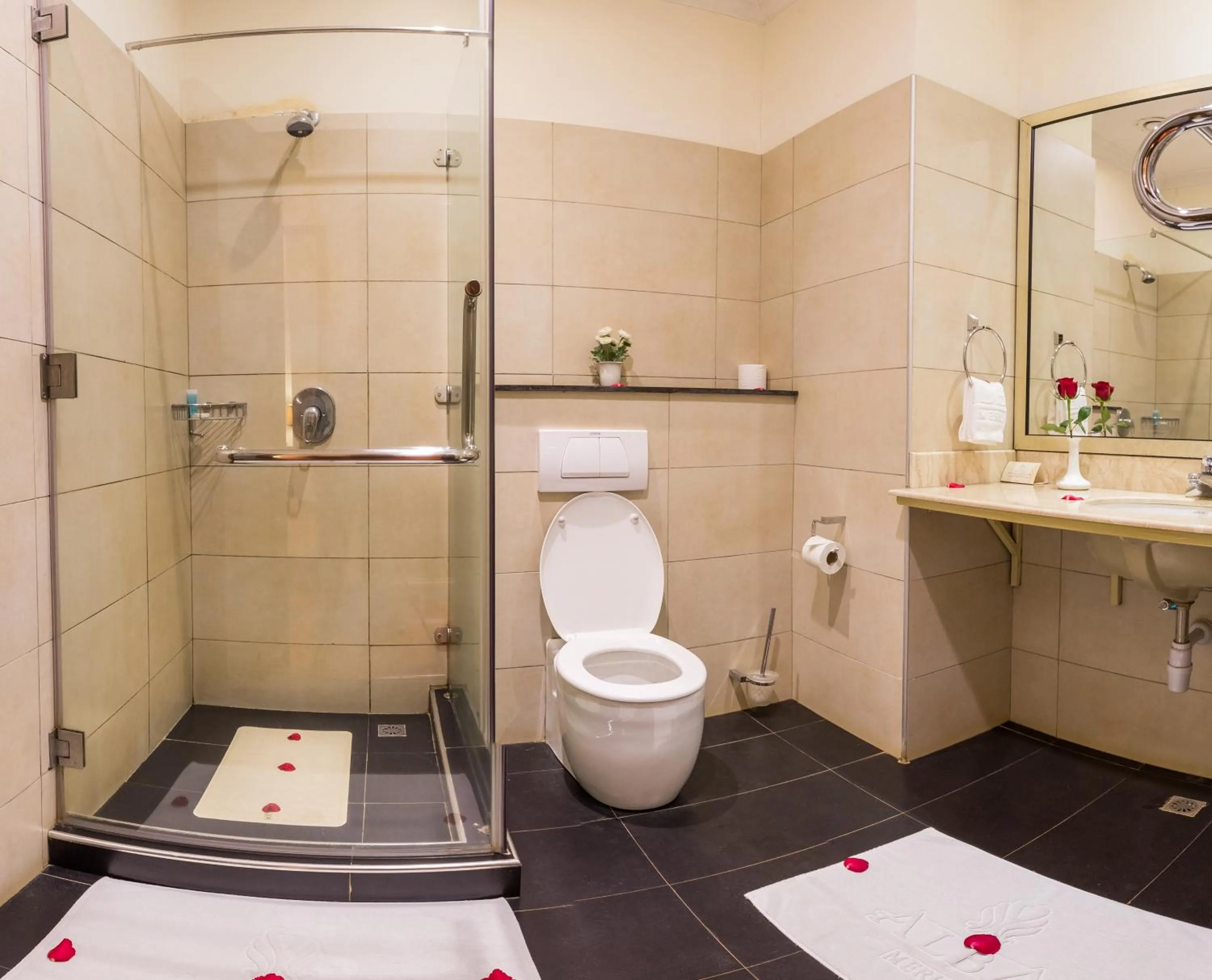 Bathroom in Alba Hotel Meru