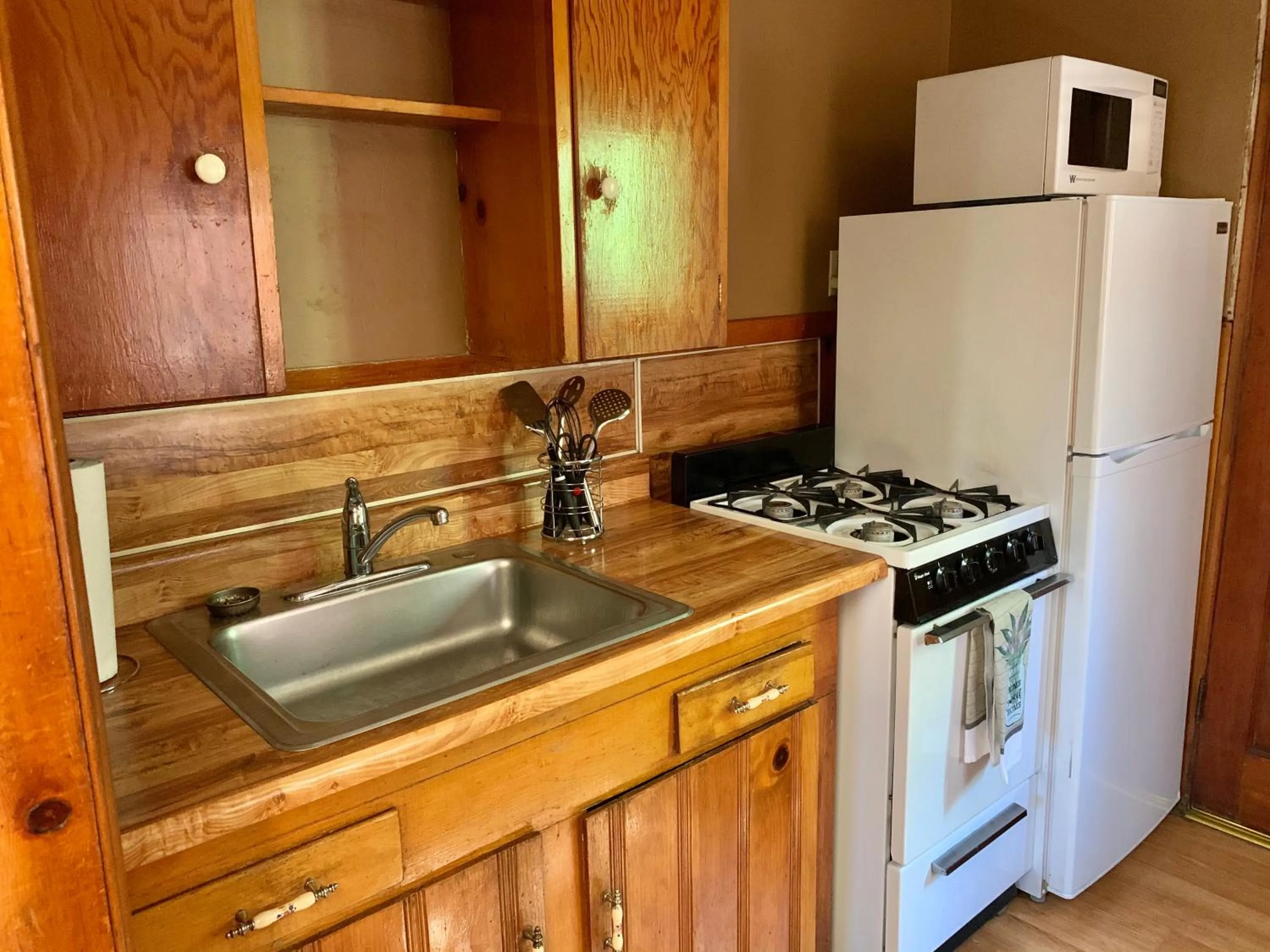 Kitchen or kitchenette in Grey Squirrel Resort