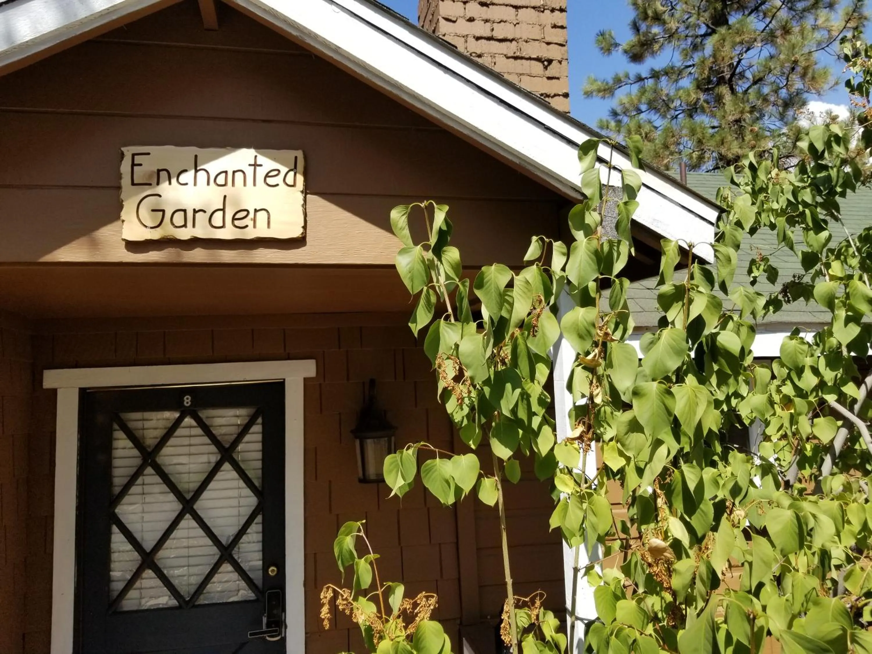 Property building in Grey Squirrel Resort