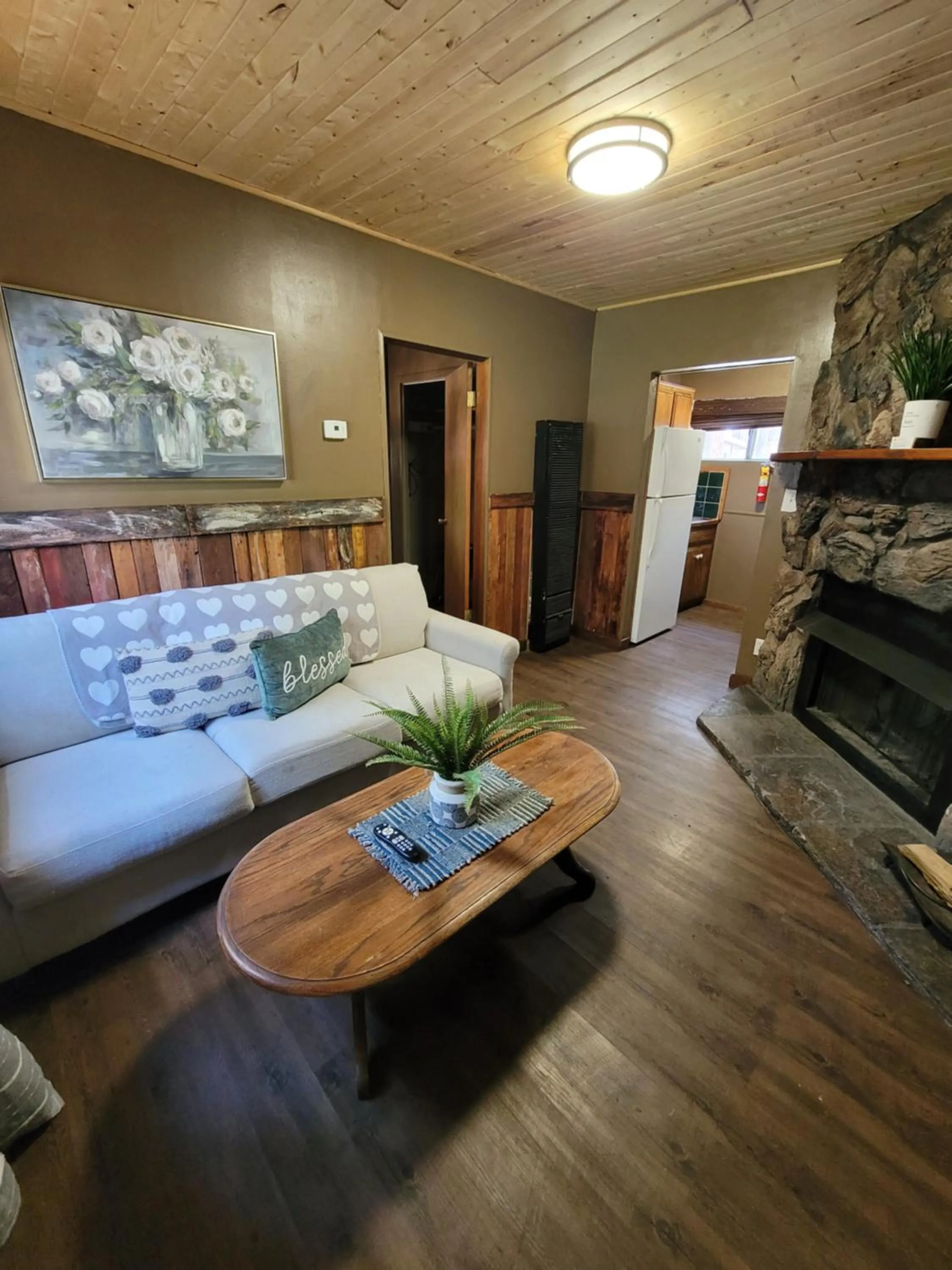 Living room in Grey Squirrel Resort