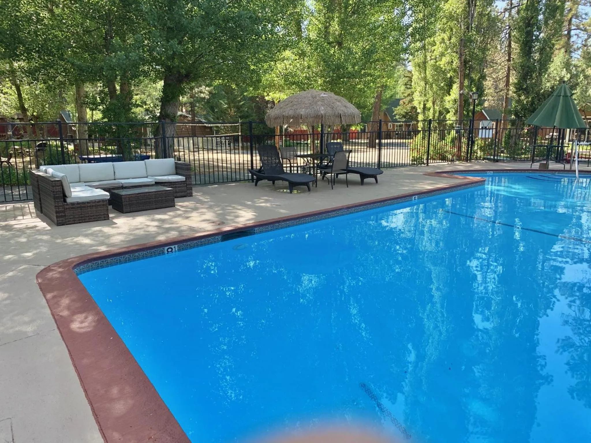 Swimming pool in Grey Squirrel Resort