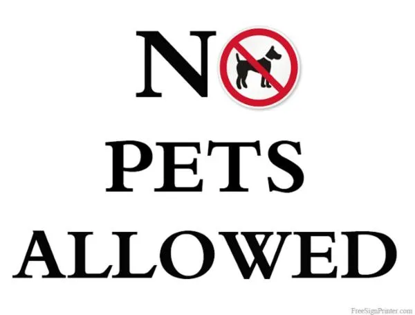 Animals in Grey Squirrel Resort