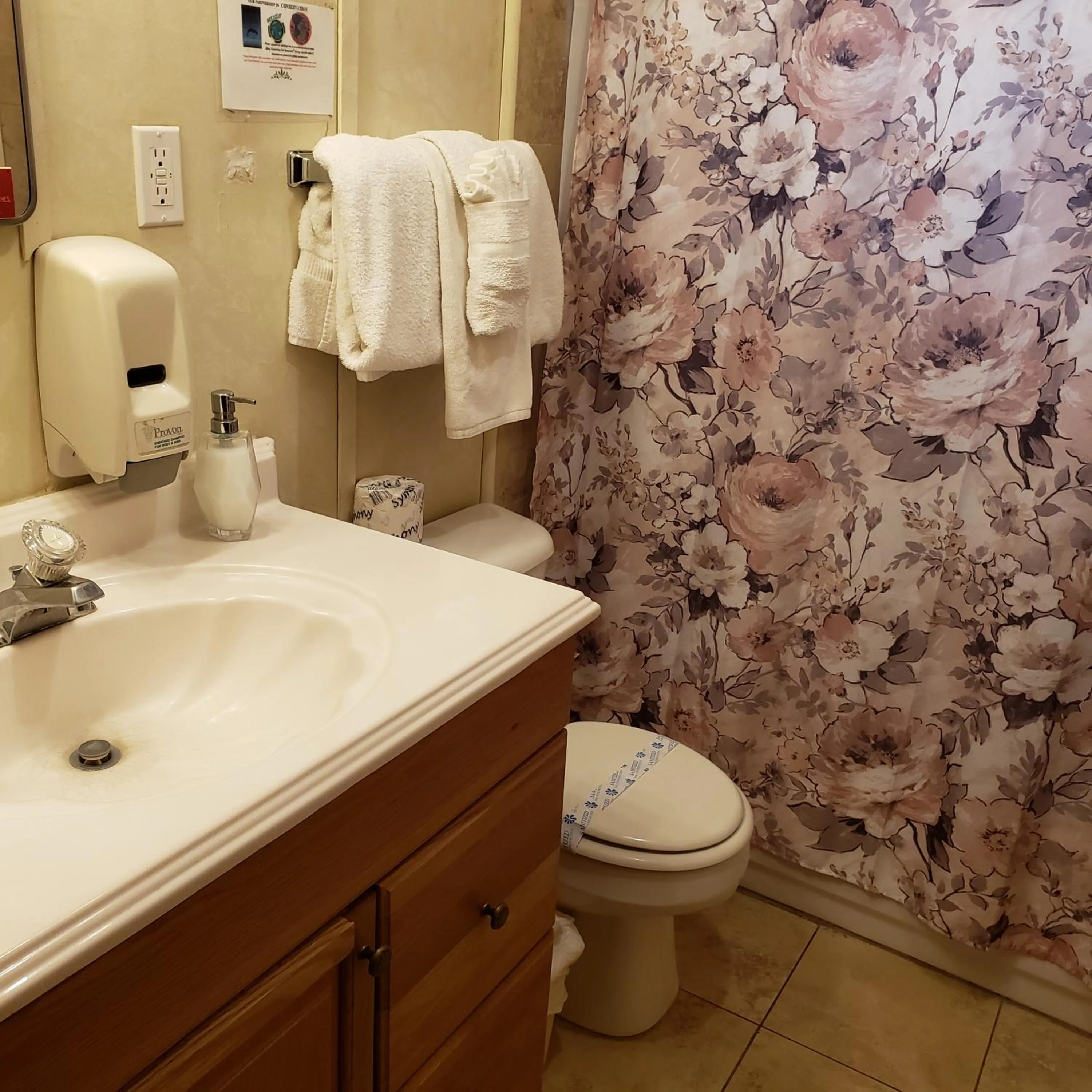 Bathroom in Grey Squirrel Resort
