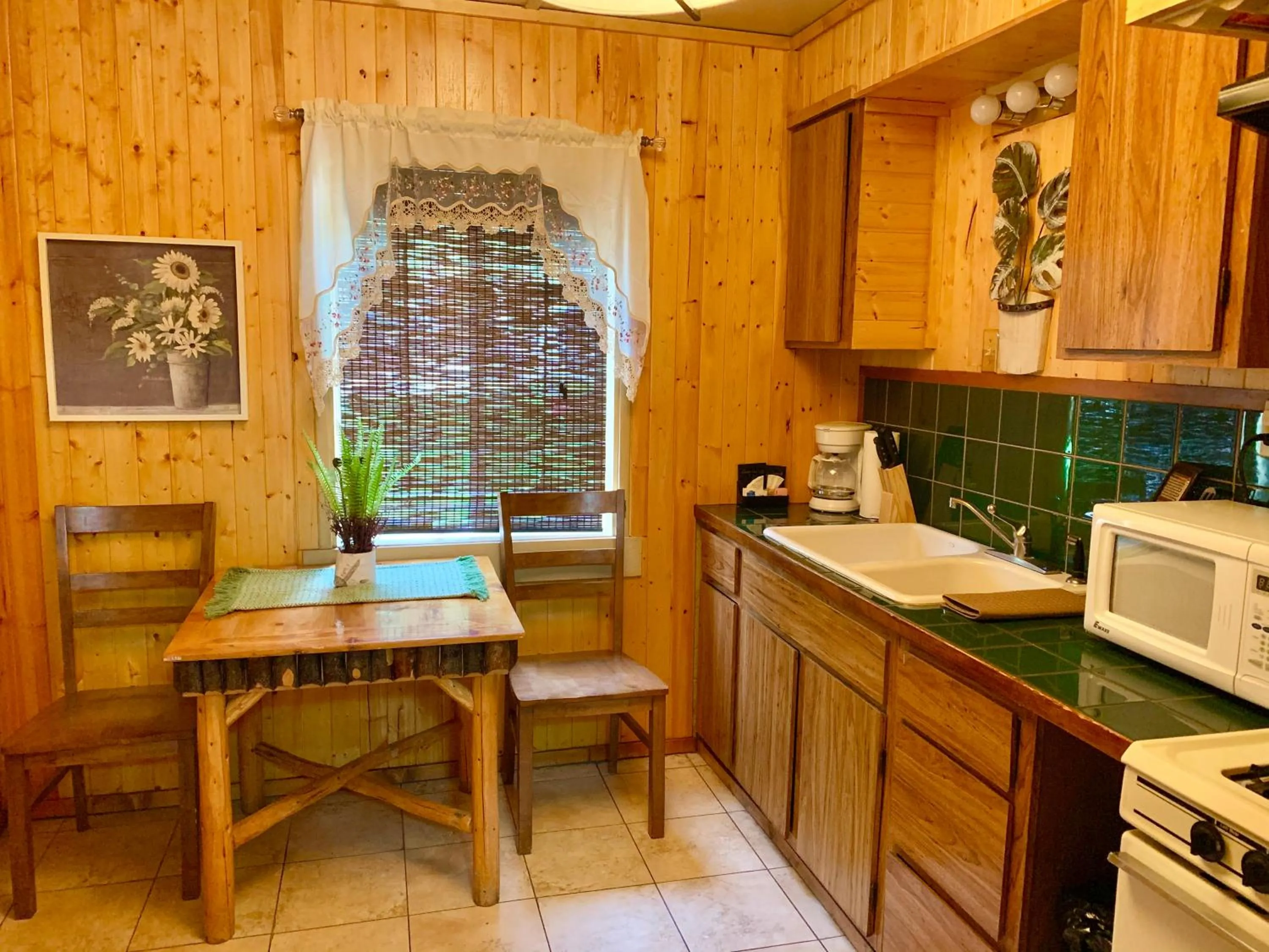 Kitchen or kitchenette in Grey Squirrel Resort