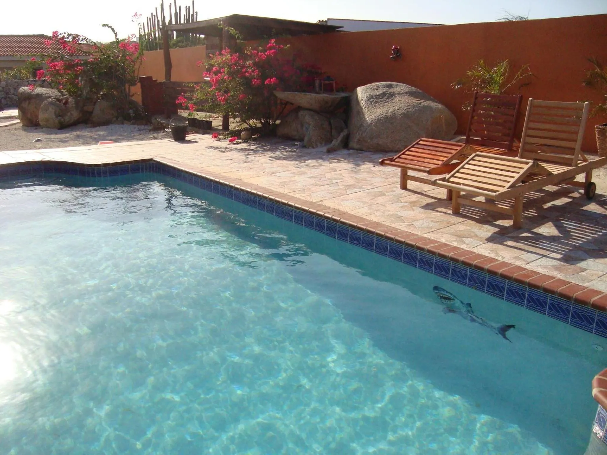 Fuego Mio Bed & Breakfast