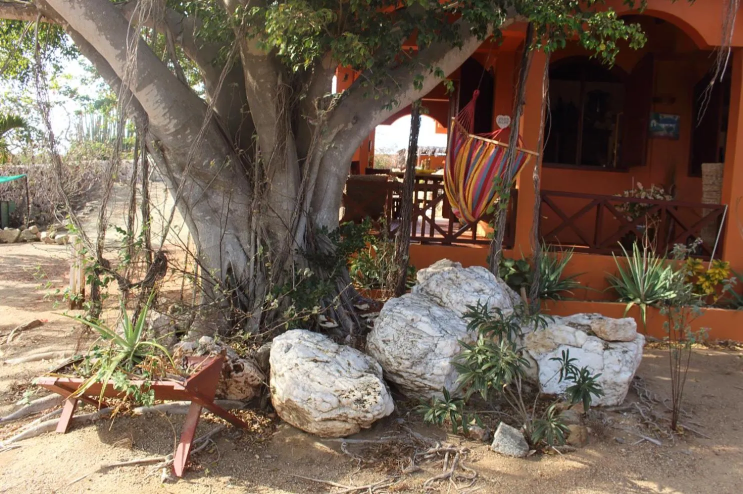 Fuego Mio Bed & Breakfast