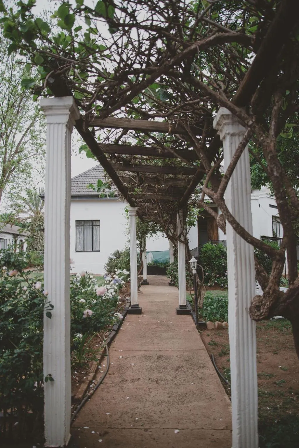 Garden in Lydenburg Manor Guest House