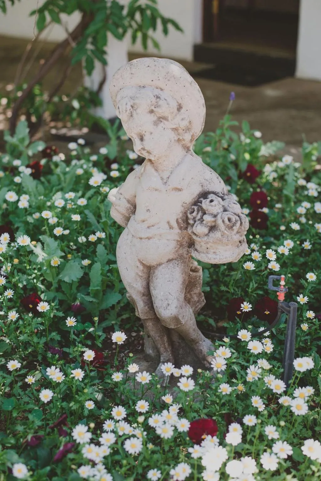 Garden in Lydenburg Manor Guest House