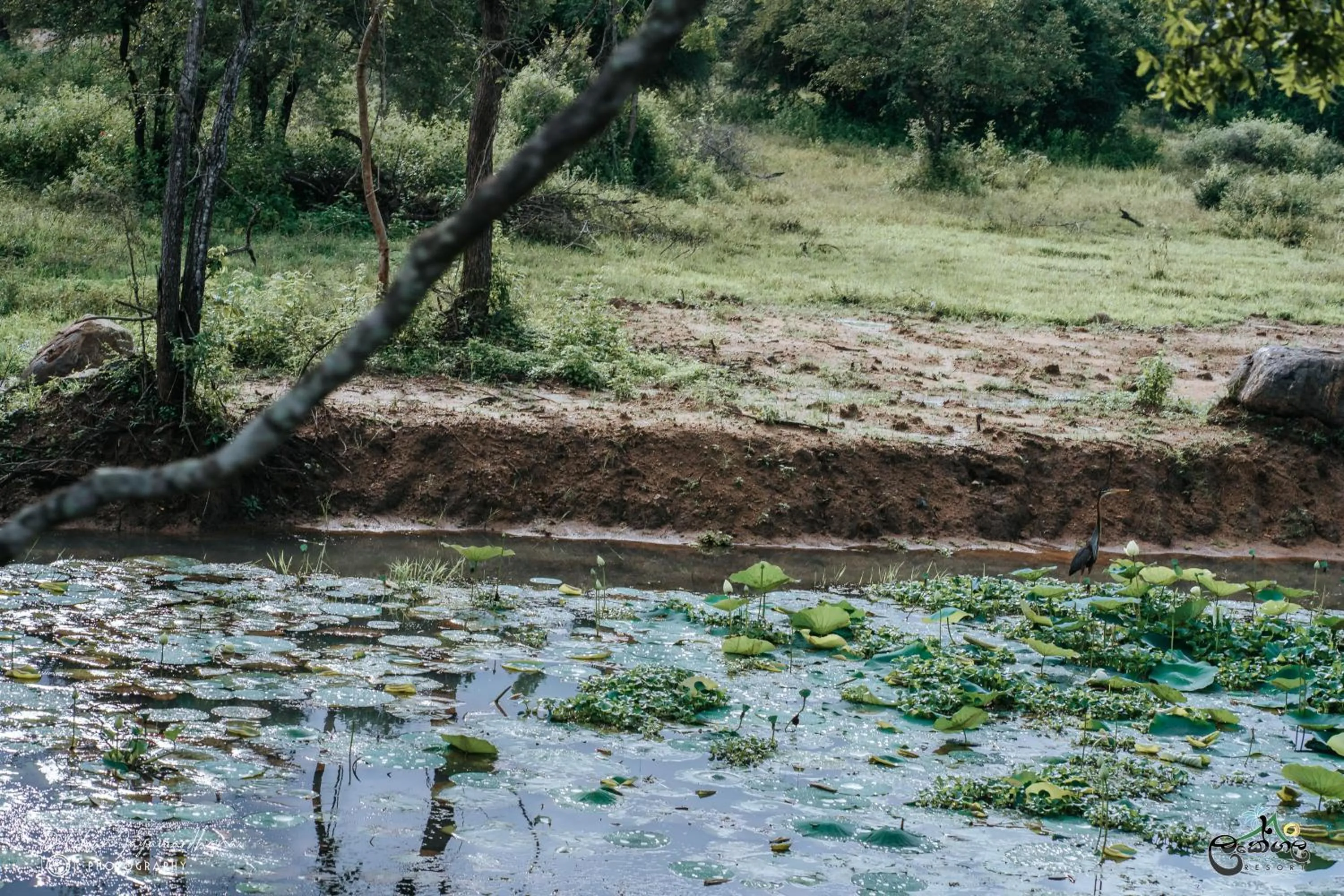 Natural landscape in Lakegala Resort