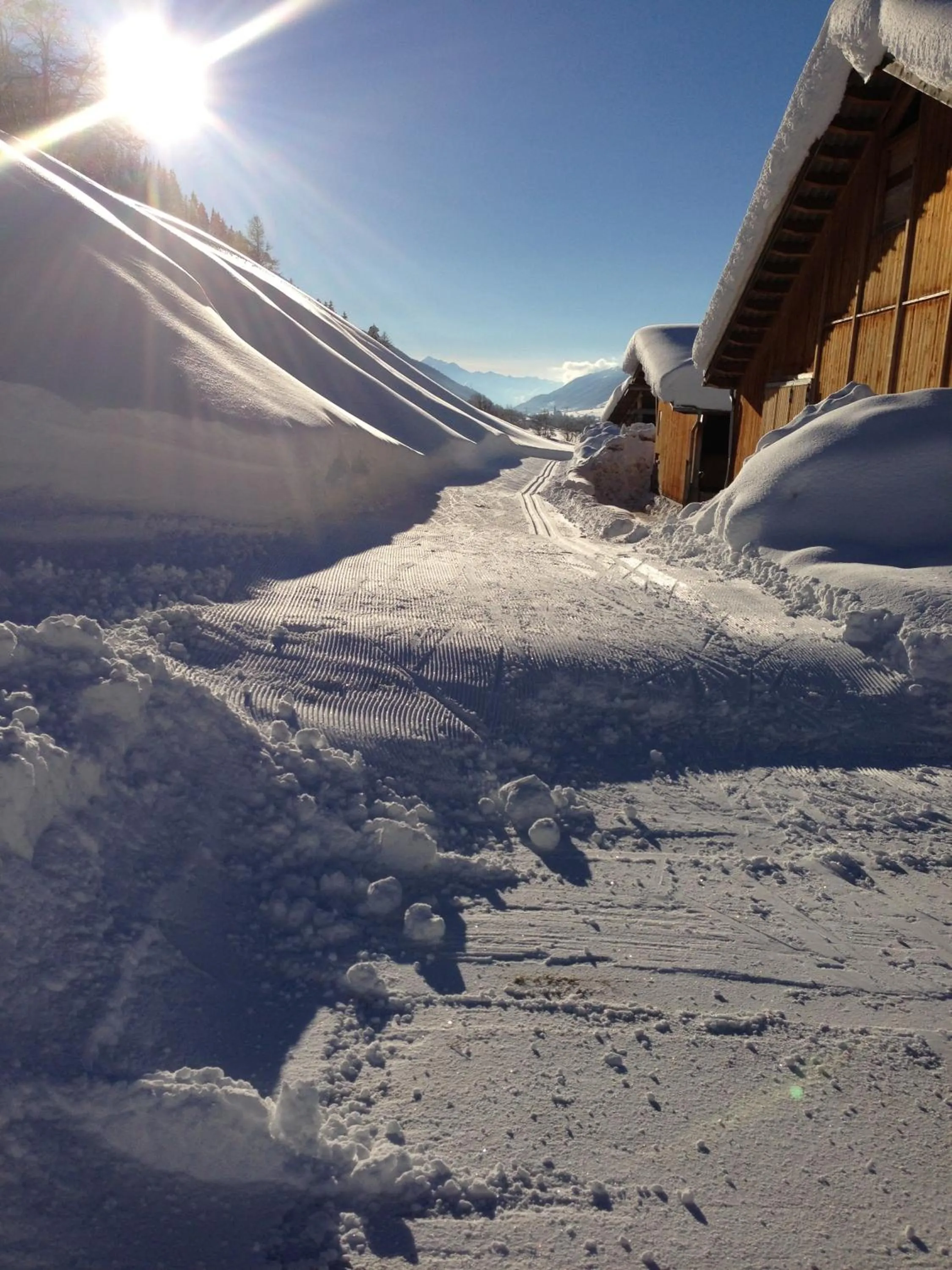 Area and facilities in Hotel Alpenhof