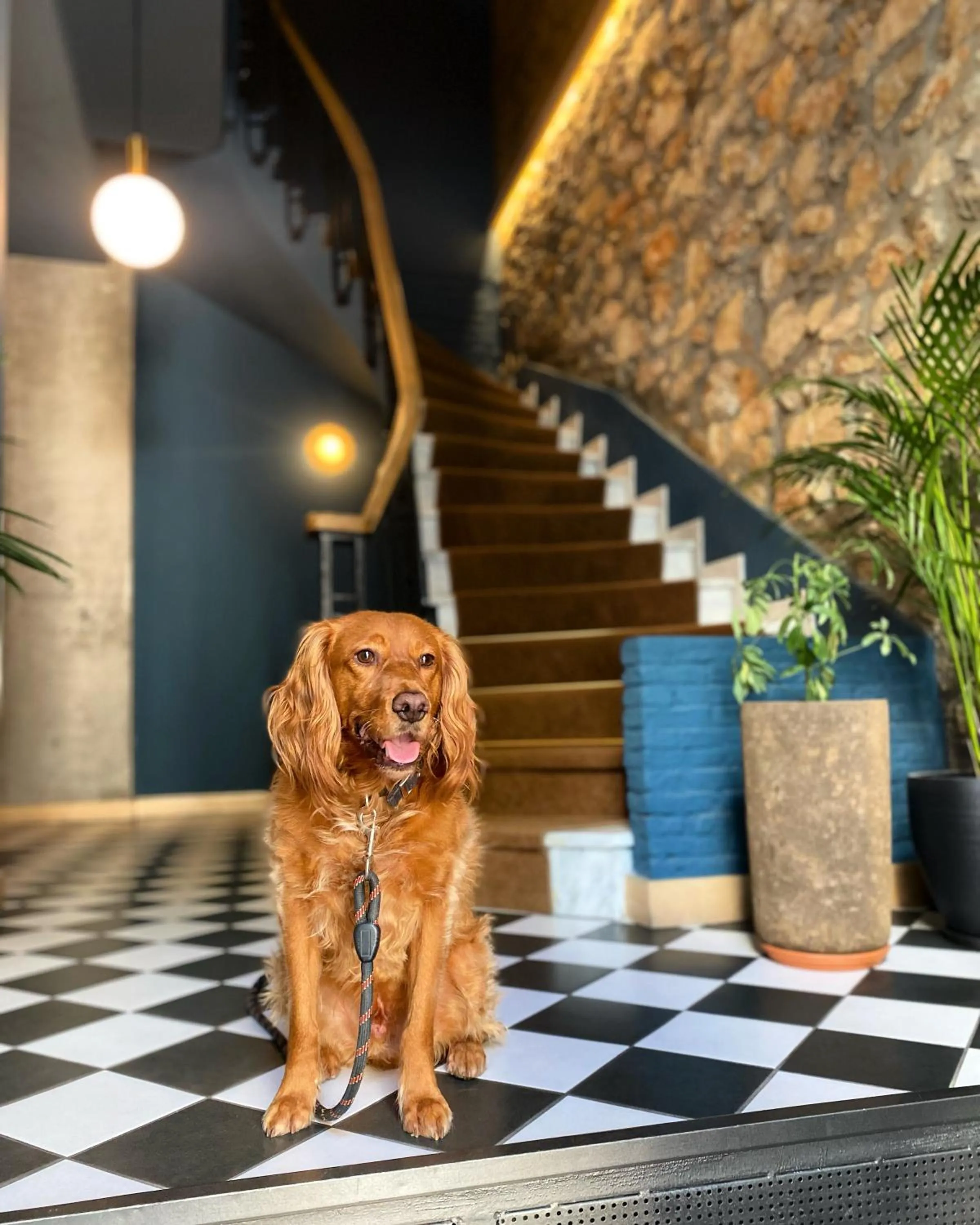 Lobby or reception in Cohort Koukaki