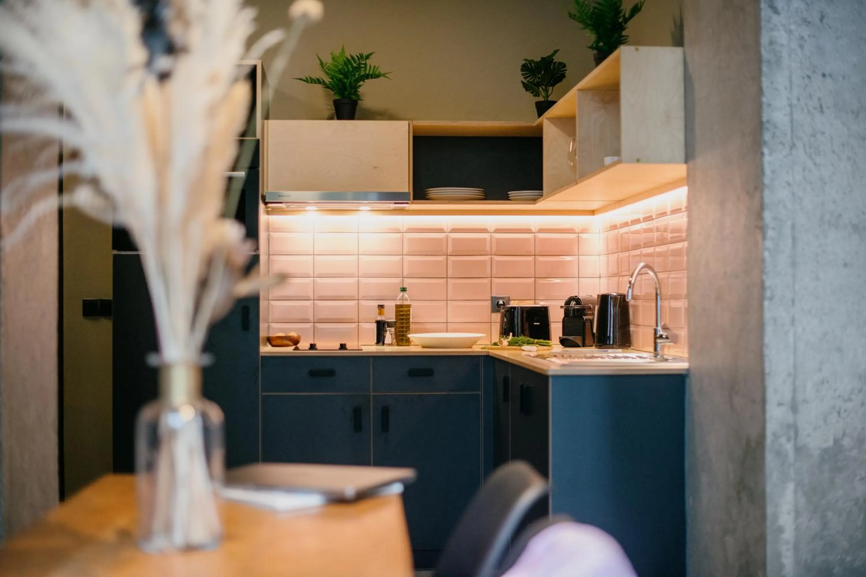 Kitchen or kitchenette in Cohort Koukaki