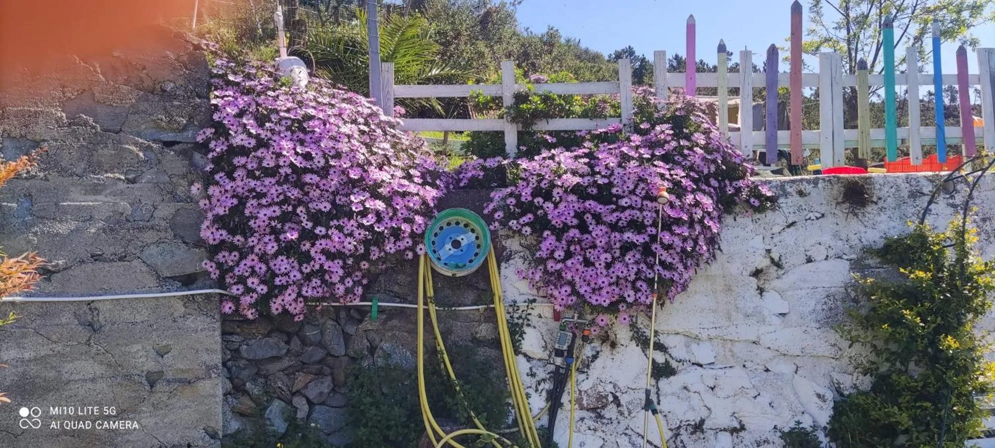 Natural landscape in Agrifazenda