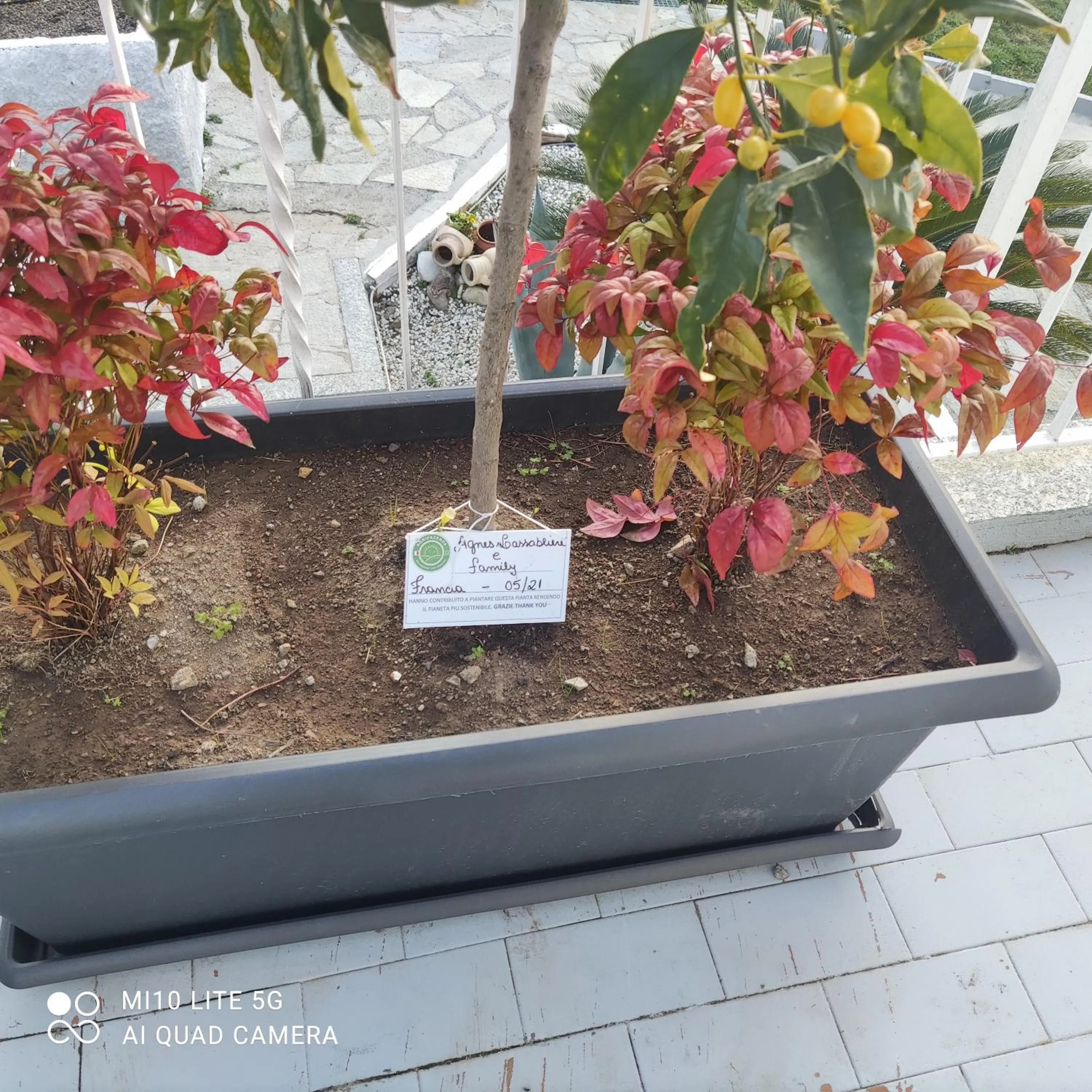 Property building in Agrifazenda