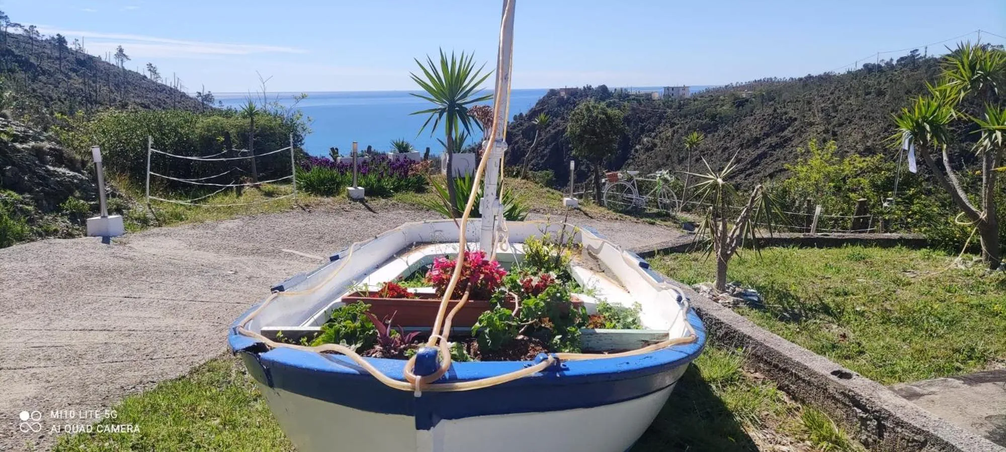 Garden in Agrifazenda