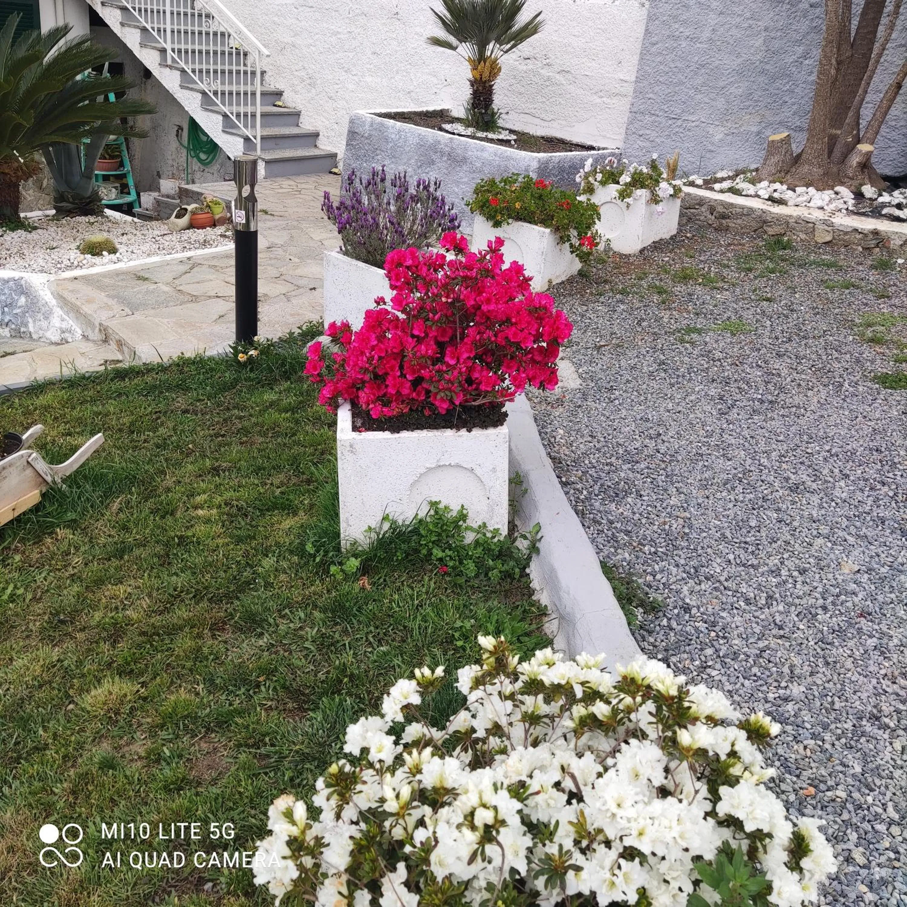 Property building in Agrifazenda