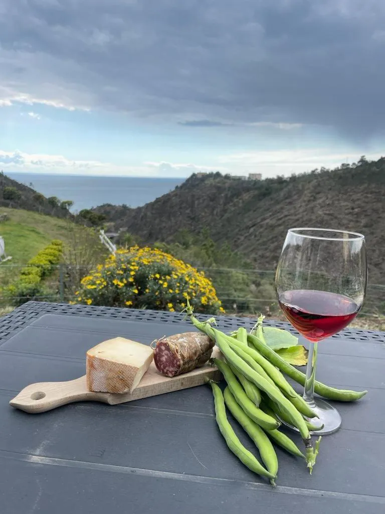 Balcony/Terrace in Agrifazenda